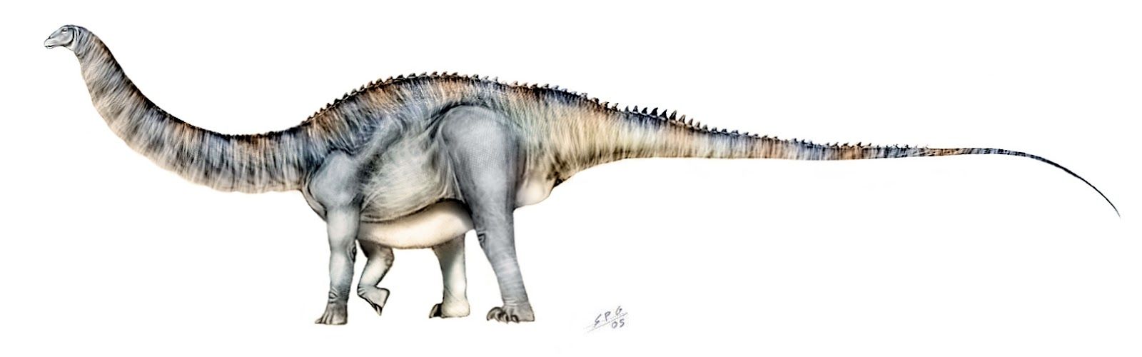 Apatosaurus Wallpaper. Fun Animals Wiki, Videos, Picture, Stories. Animals, Artwork, Prehistoric