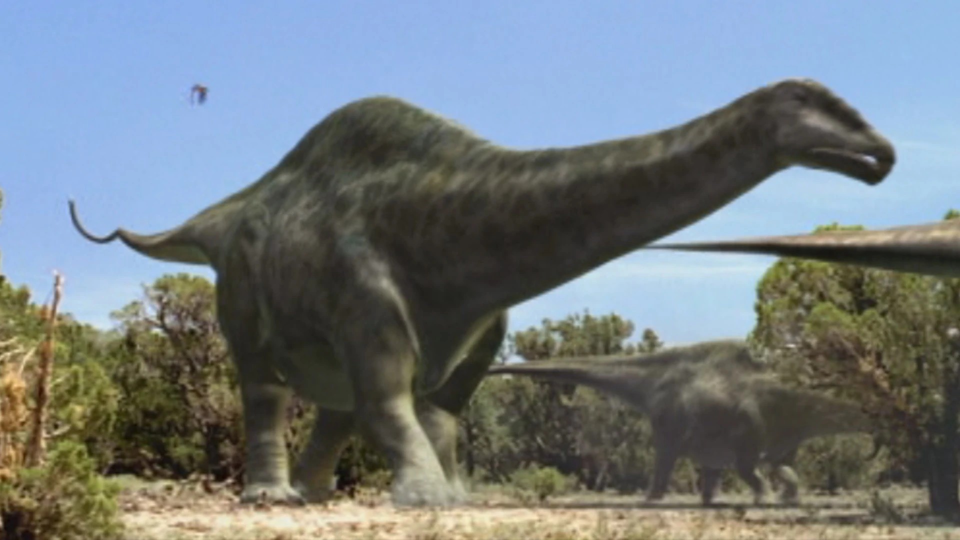 Great Green Apatosaurus