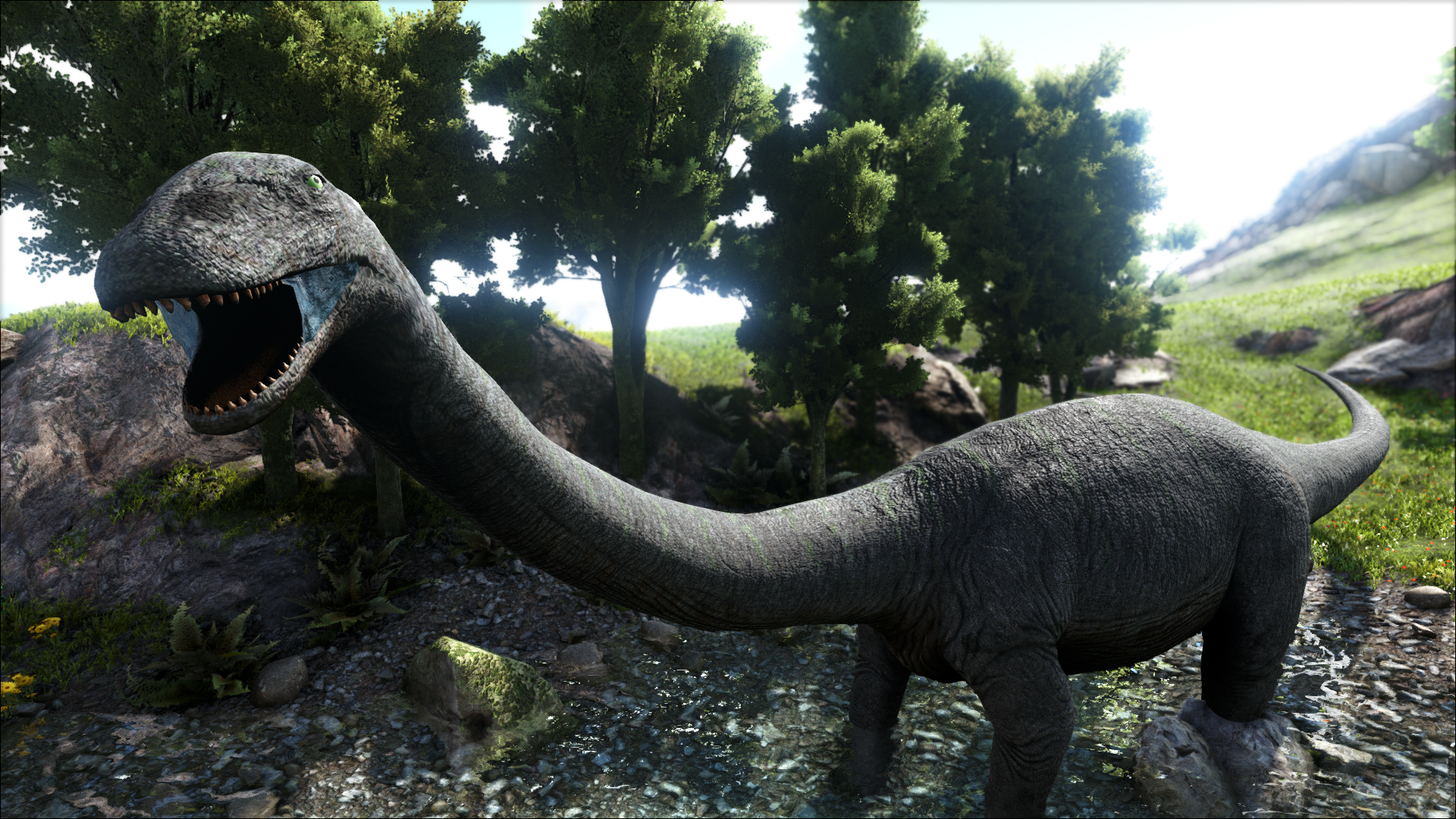 Apatosaurus