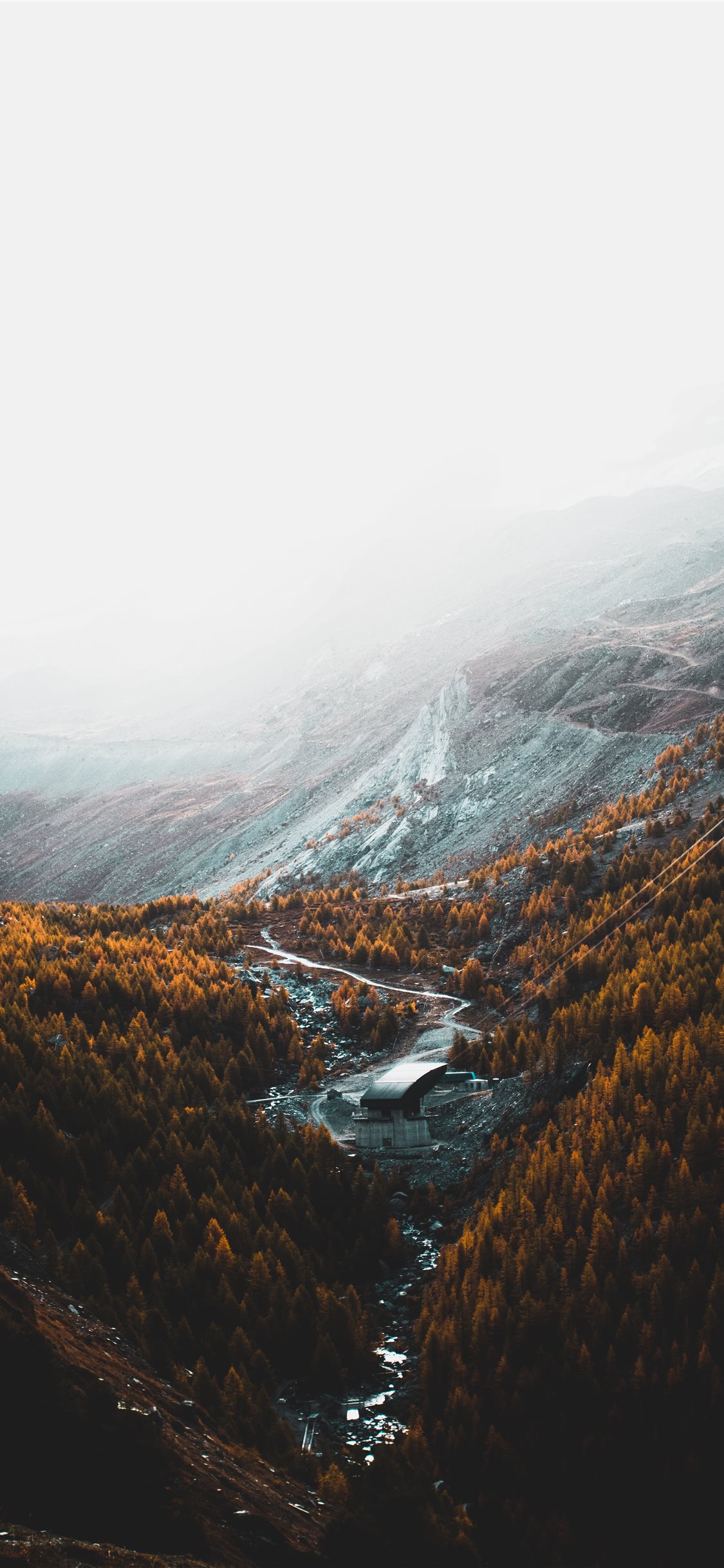 aerial photography of brown trees and mountains un. iPhone X Wallpaper Free Download