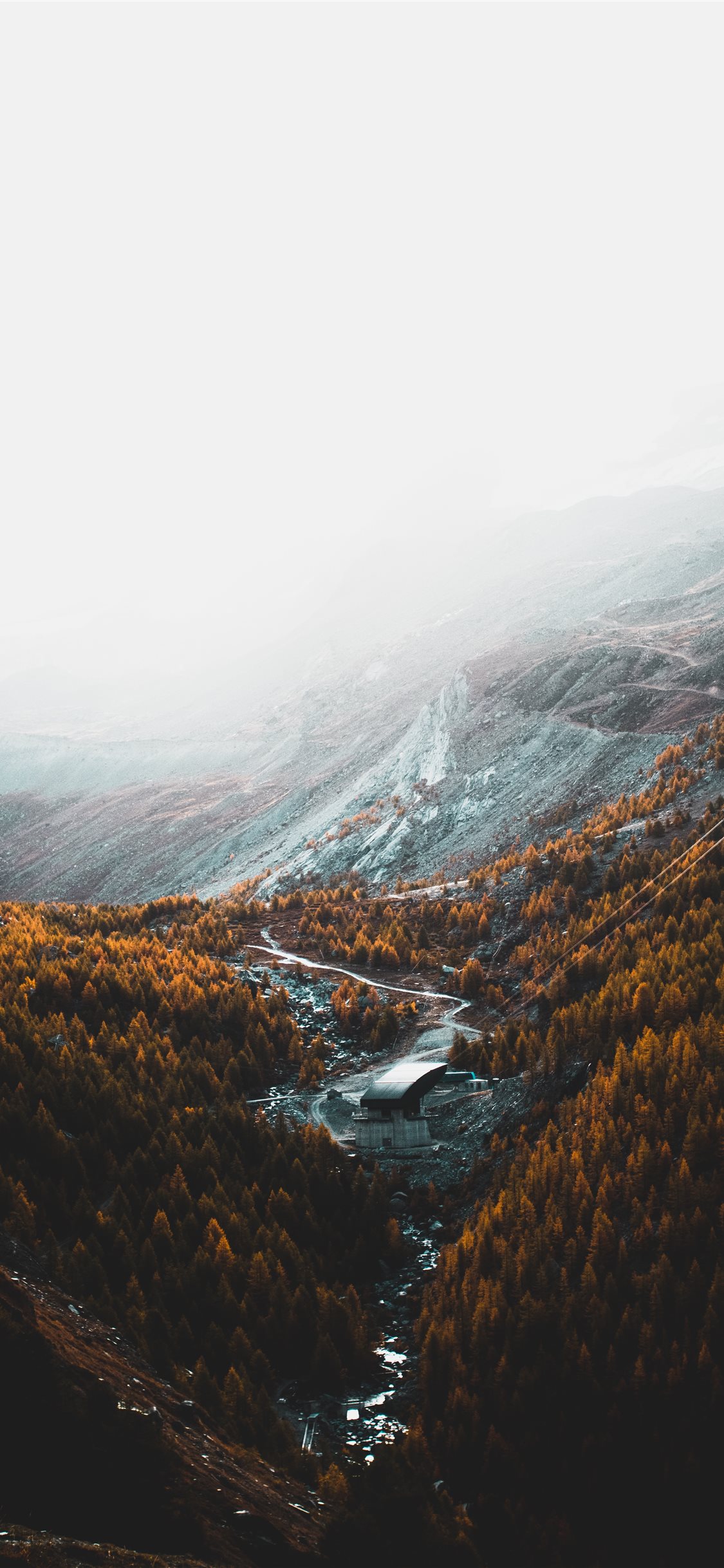 aerial photography of brown trees and mountains un. iPhone X Wallpaper Free Download