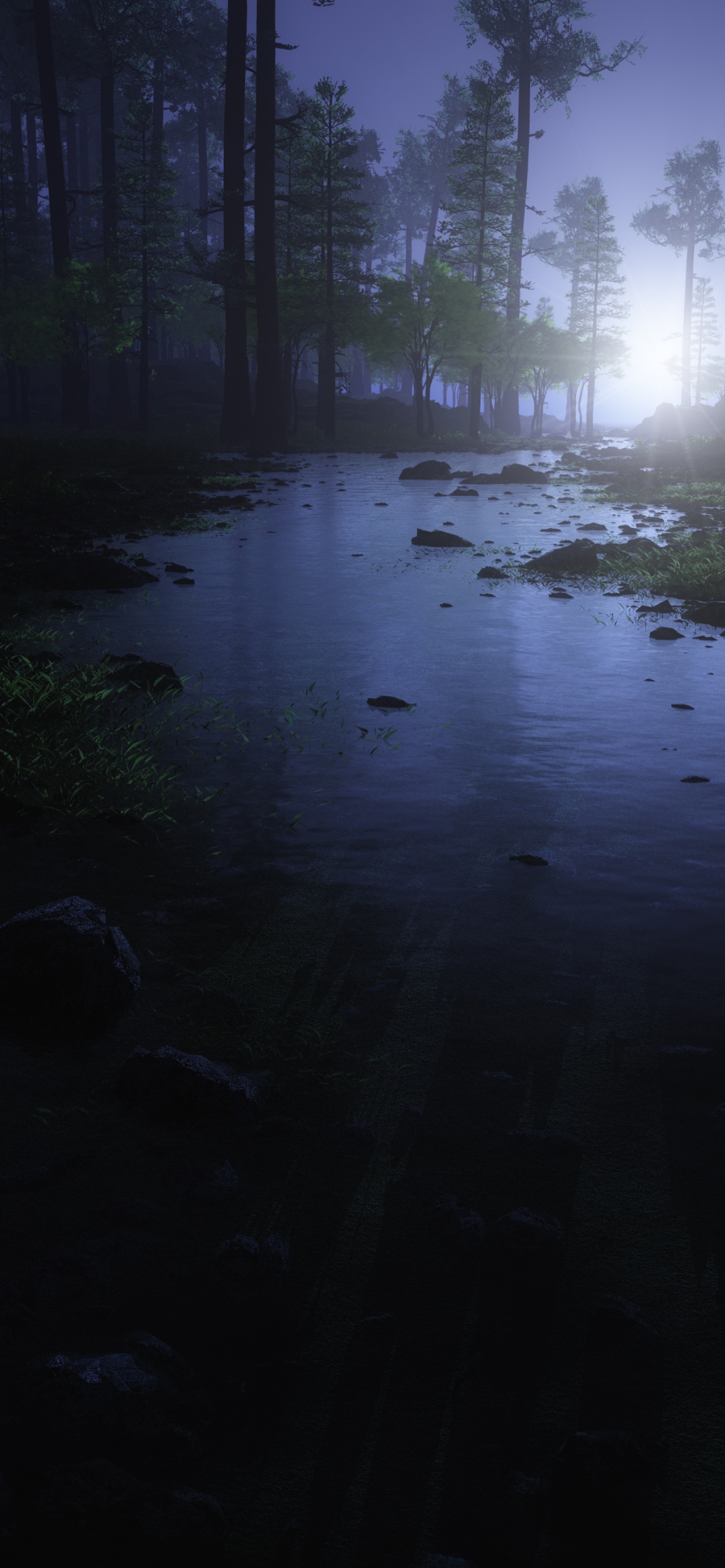 Dark Forest Wallpaper 4K, Water Stream, Trees, Nature