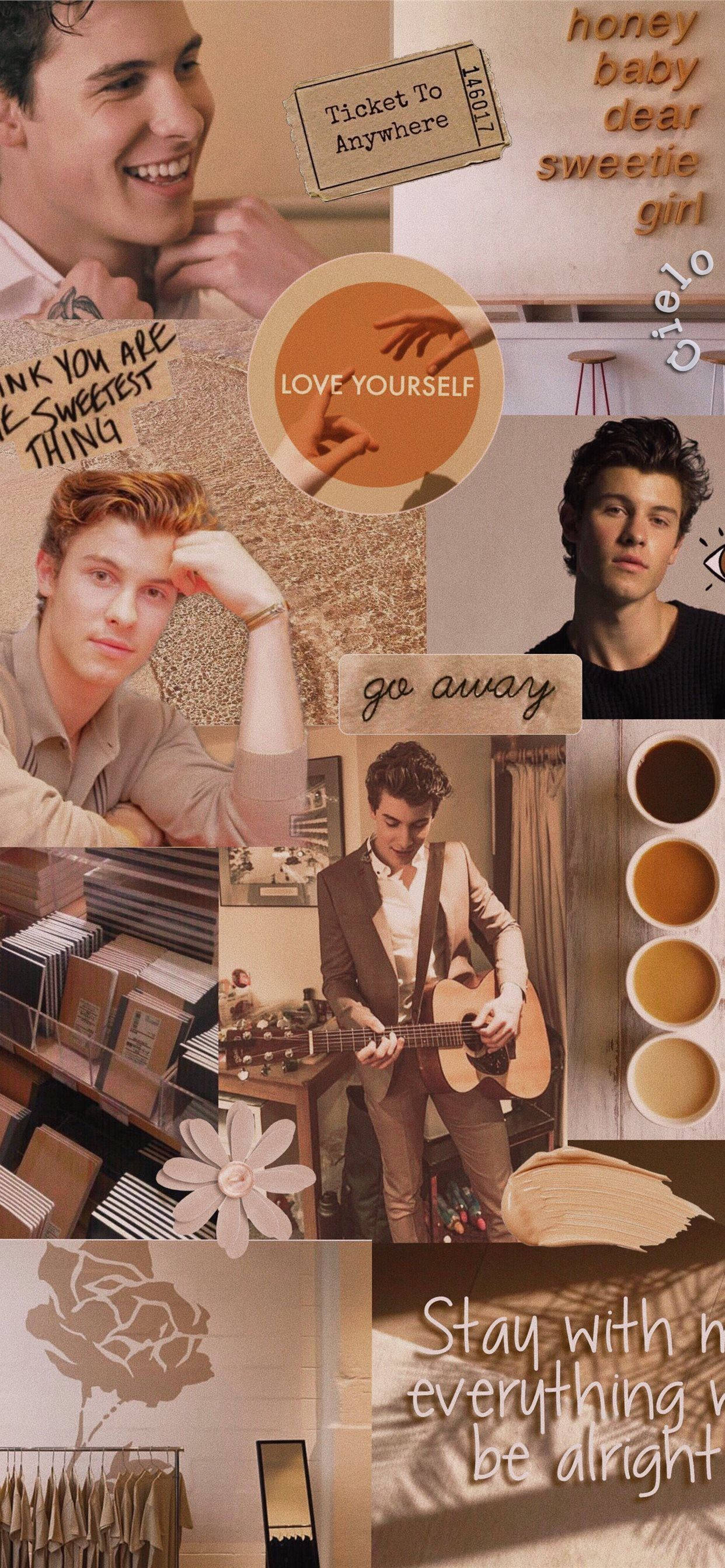 Download Aesthetic Beige Shawn Mendes Wallpaper