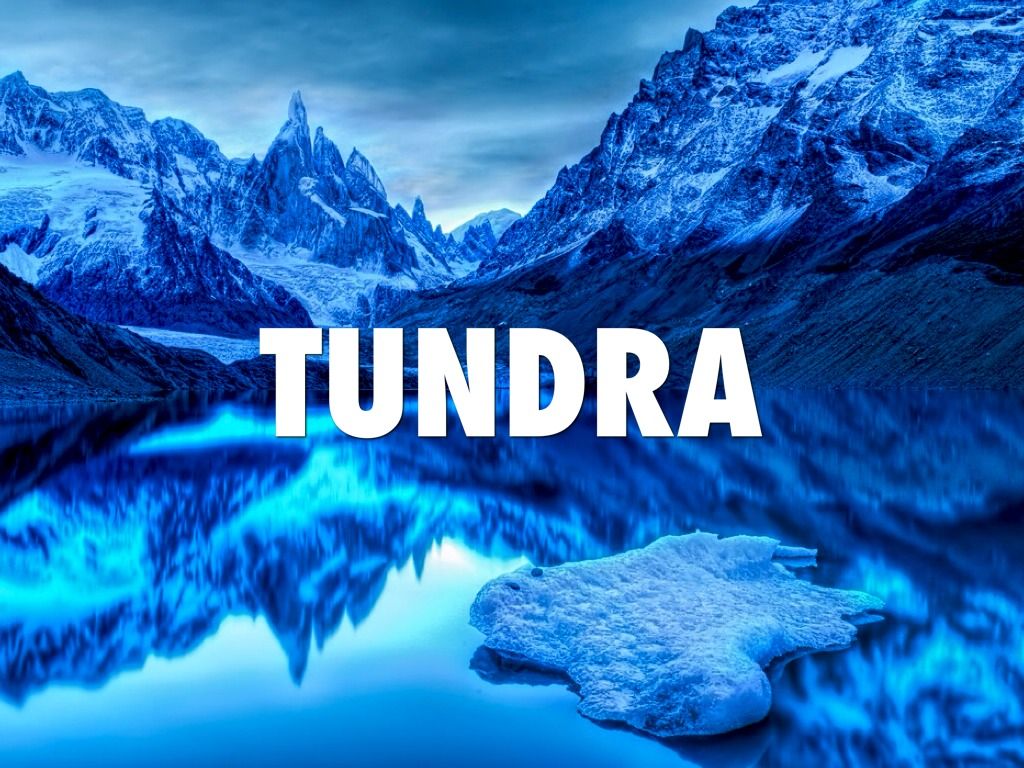 Image result for tundra. Landscape wallpaper, Cool landscapes, Nature wallpaper