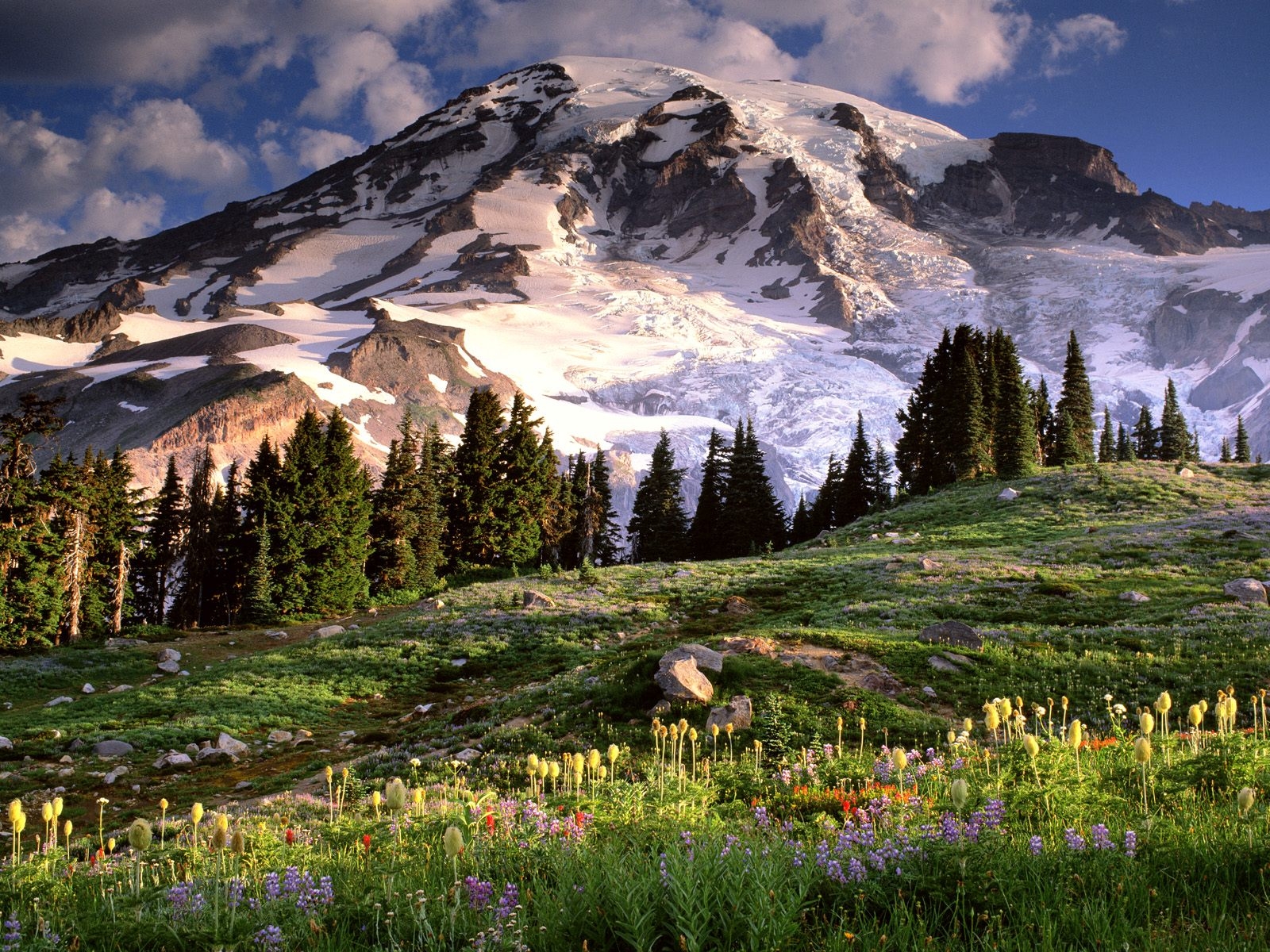 Wallpaper, trees, landscape, mountains, flowers, hill, nature, grass, sky, stones, national park, wilderness, Alps, mount scenery, tundra, cloud, tree, washington, grassland, vegetation, meadow, wildflower, highland, computer wallpaper, mountainous