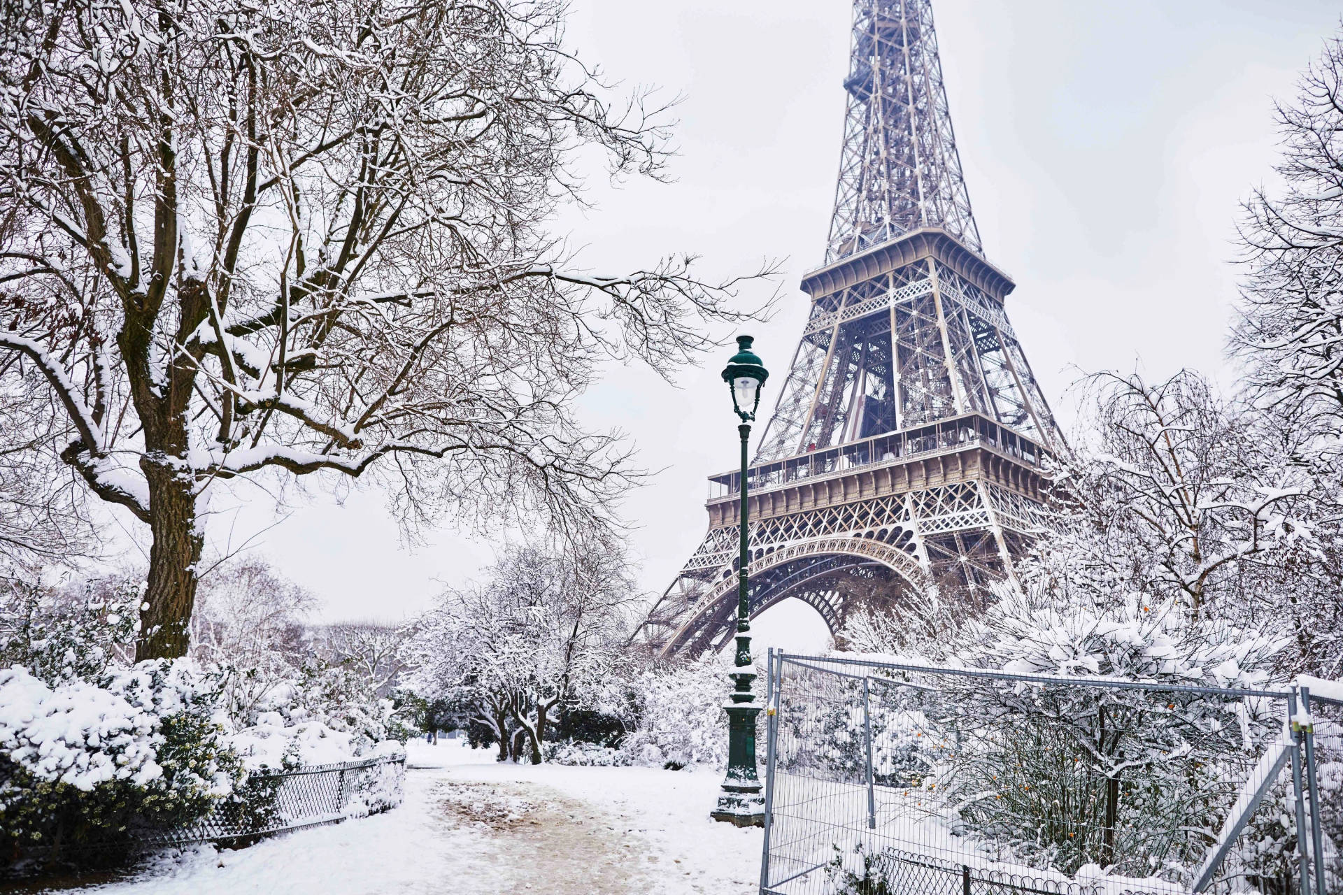 Download Eiffel Tower In Cold Winter Wallpaper