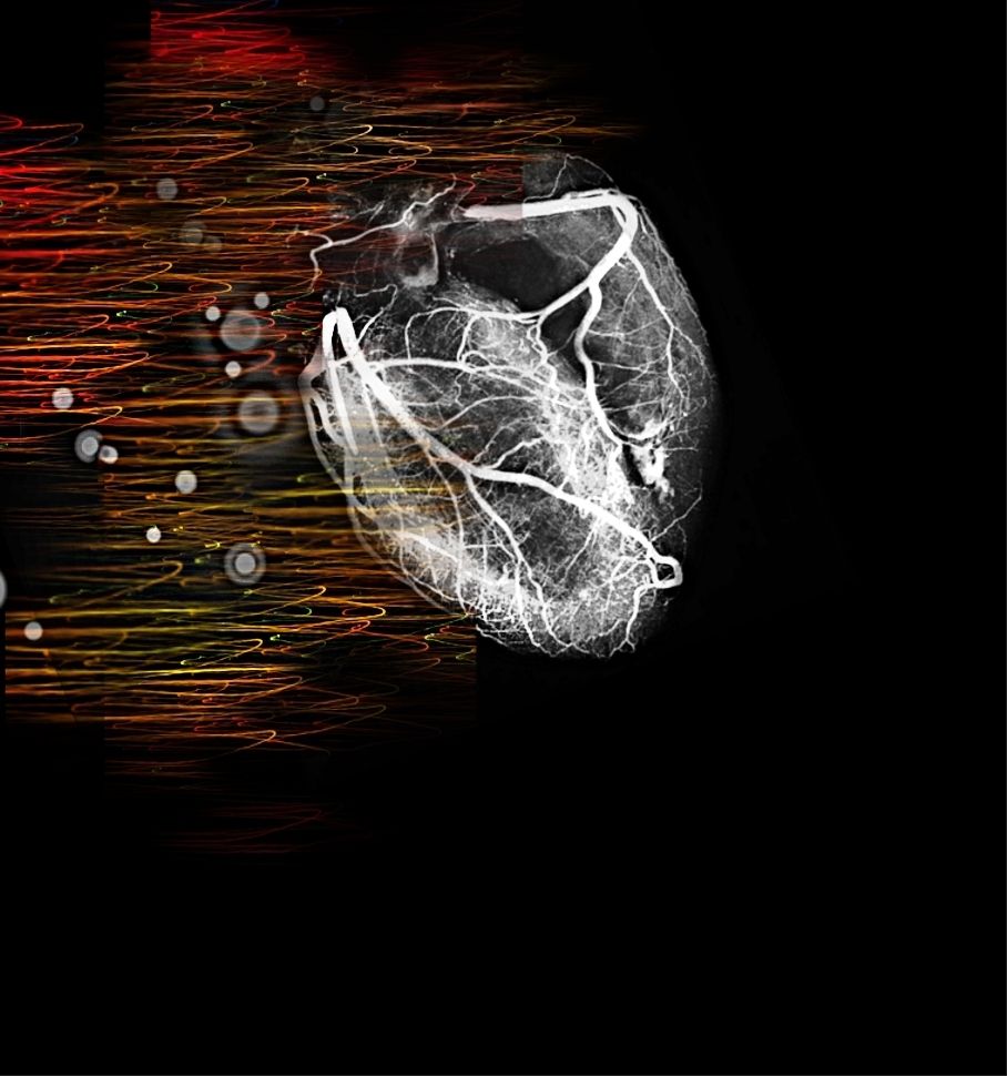 Cardiology Wallpaper Free Cardiology Background