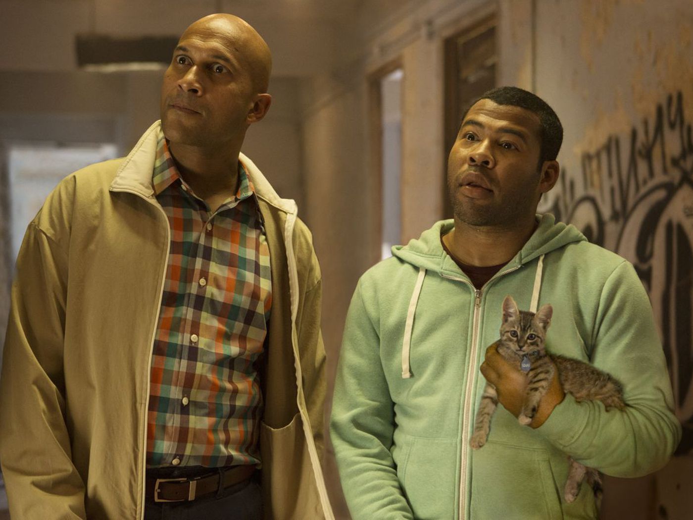 Keanu review: Key and Peele (and a kitten) are very funny. They deserve a better movie