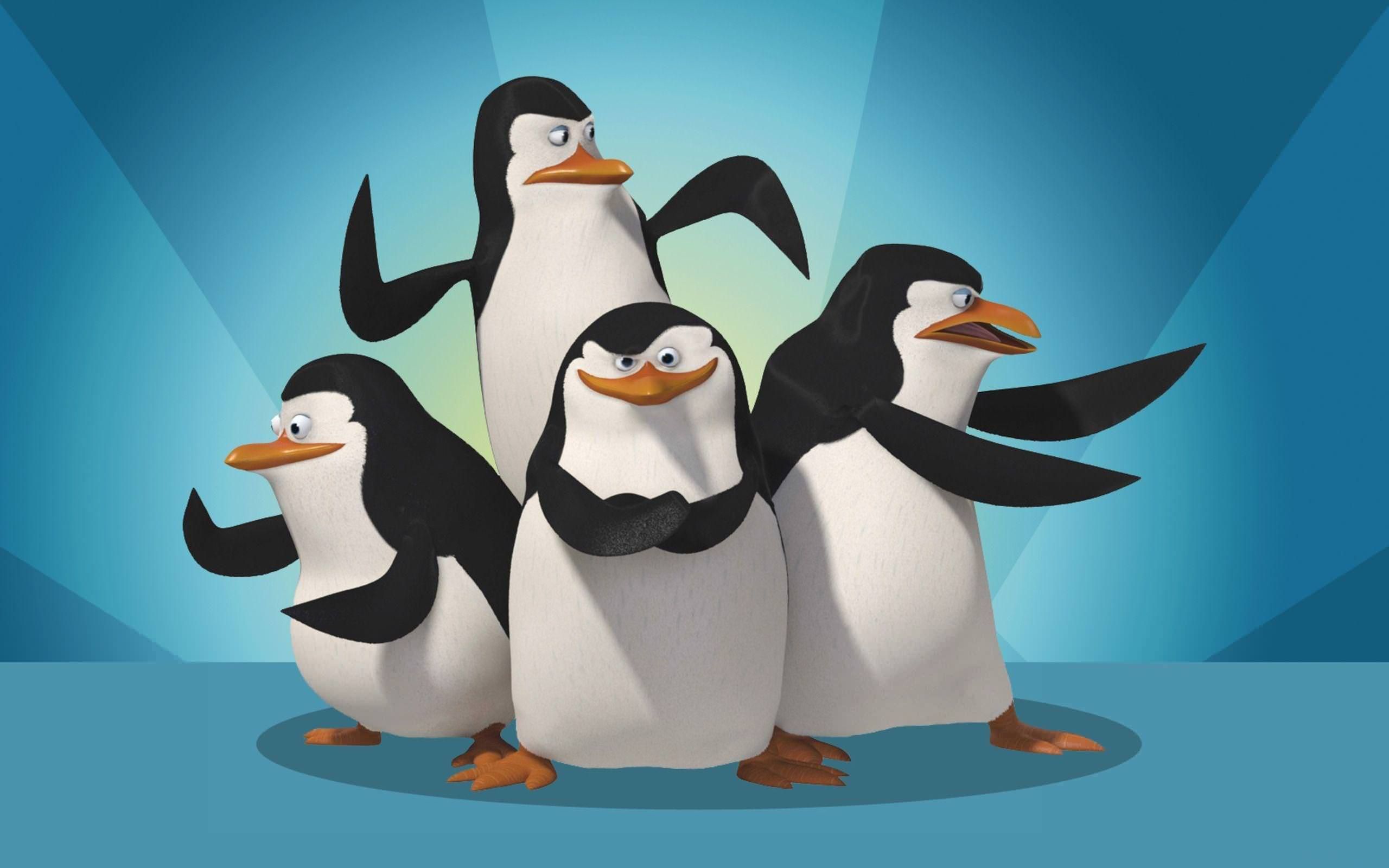 Madagascar Wallpaper HD. Penguins of madagascar, Madagascar movie, Cartoon wallpaper