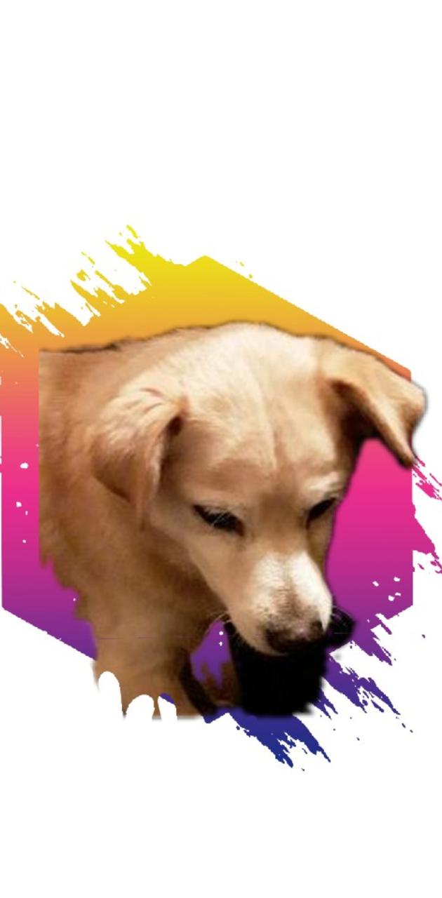 Drip wallpaper wallpaper