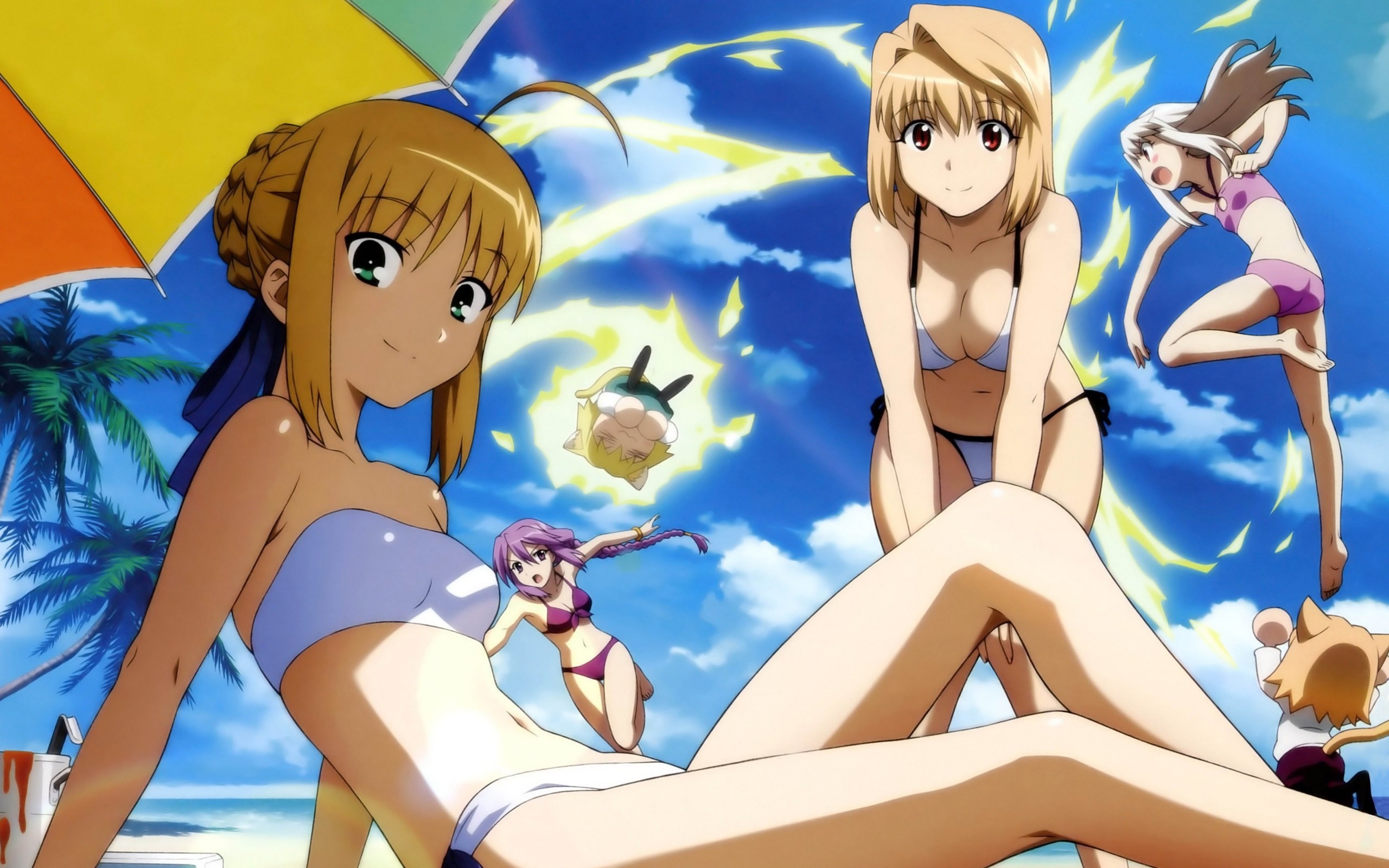 Wallpaper, illustration, anime girls, cartoon, Saber, bikini, Fate Series, comics, Illyasviel von Einzbern, Arcueid Brunestud, Type Moon, Sion Eltnam Atlasia, Carnival Phantasm, mangaka 2560x1600
