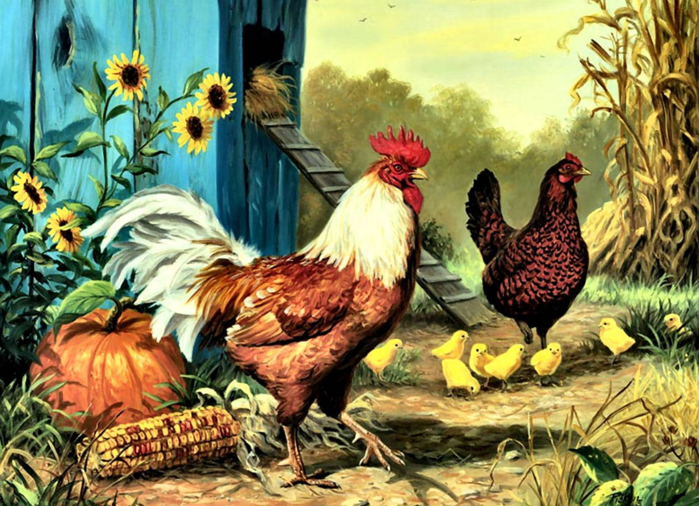 Download Rooster And Chicken Animals On A Farm Wallpaper