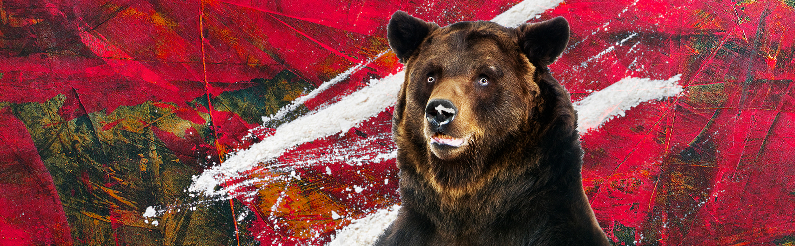 The True Story Of The 'Cocaine Bear' Movie Is More Wild Than The Title