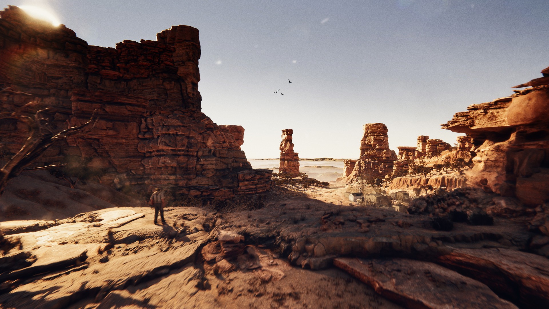 Wild West Dynasty Productions GmbH