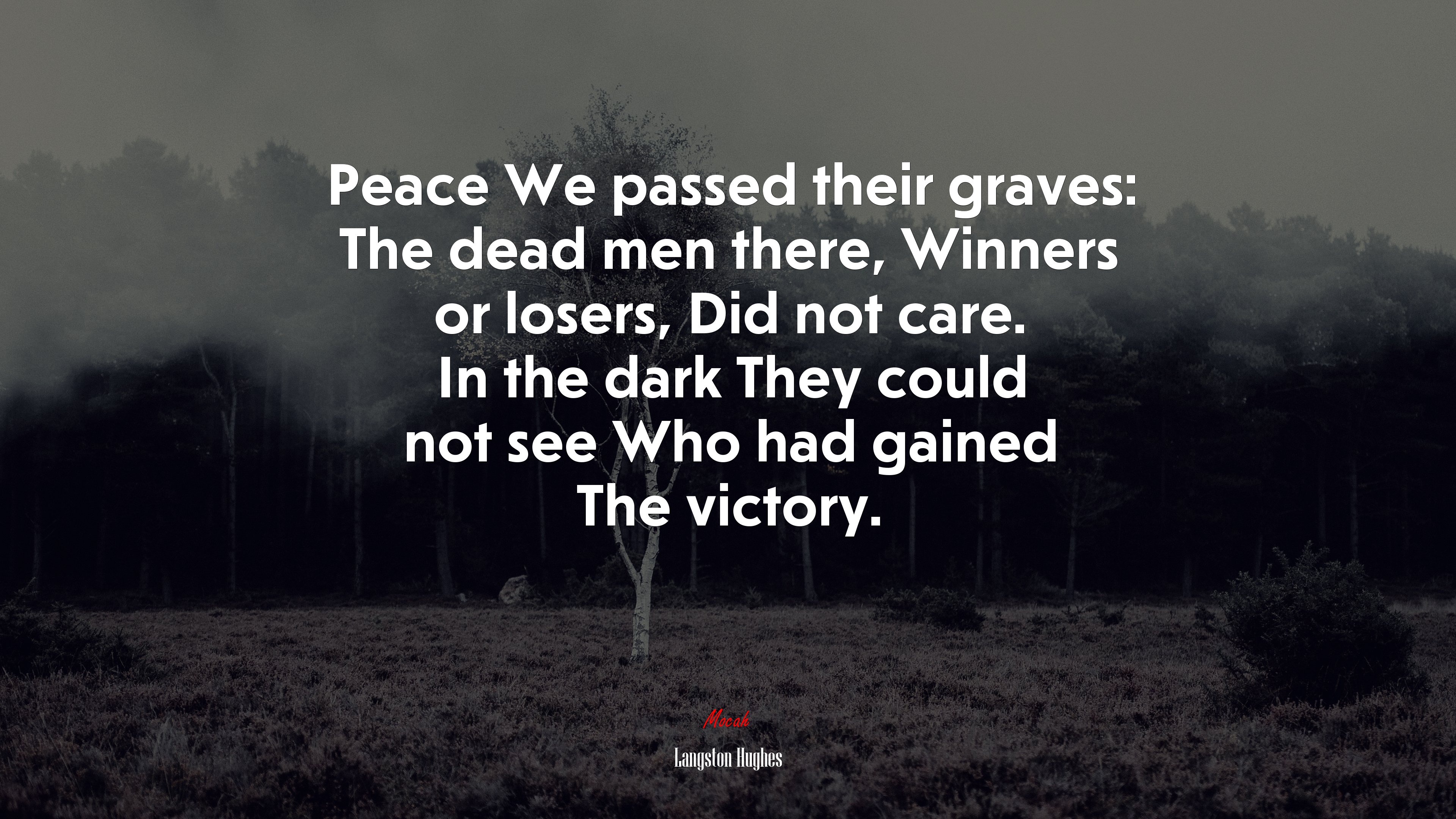 There is no color line in death. Langston Hughes quote Gallery HD Wallpaper