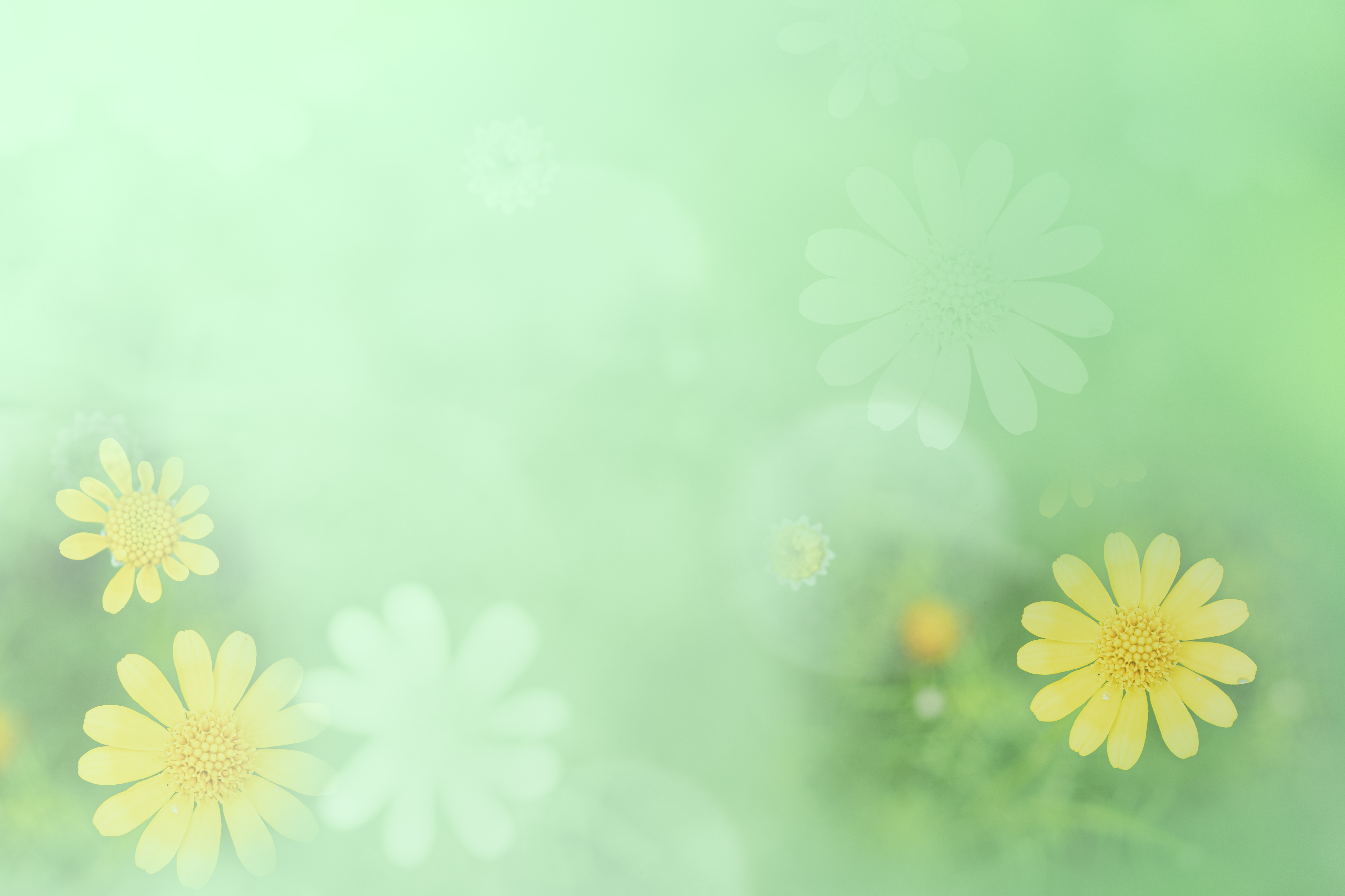 Spring Background , Image and Background for Free Download