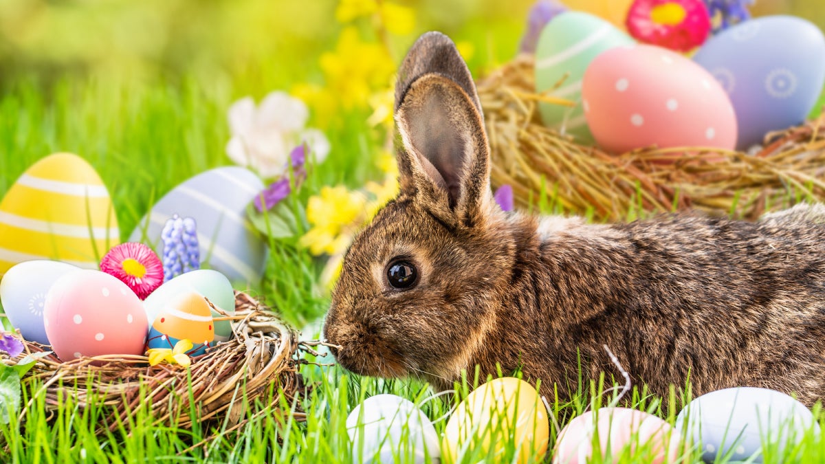 Easter Giveaway Ideas You Should Try This Spring