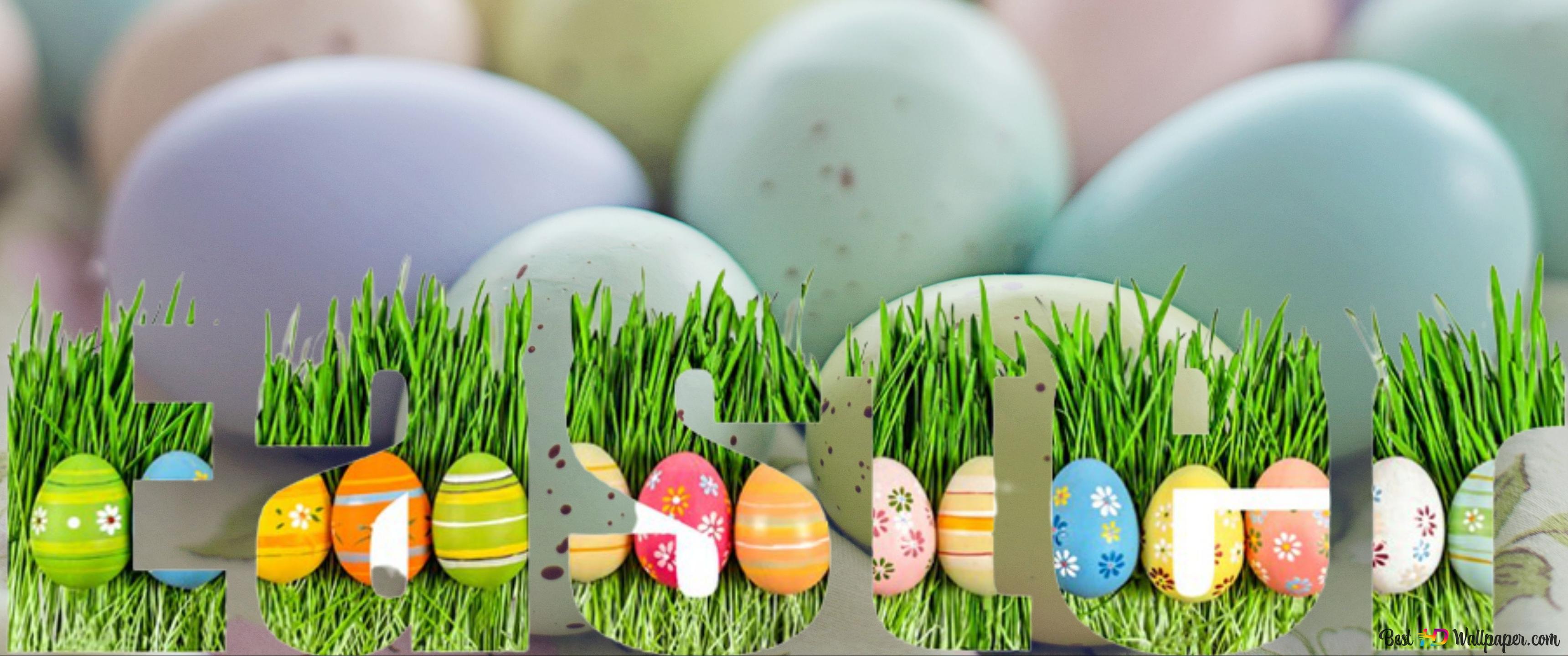 Easter grass in colorful egg 4K wallpaper download