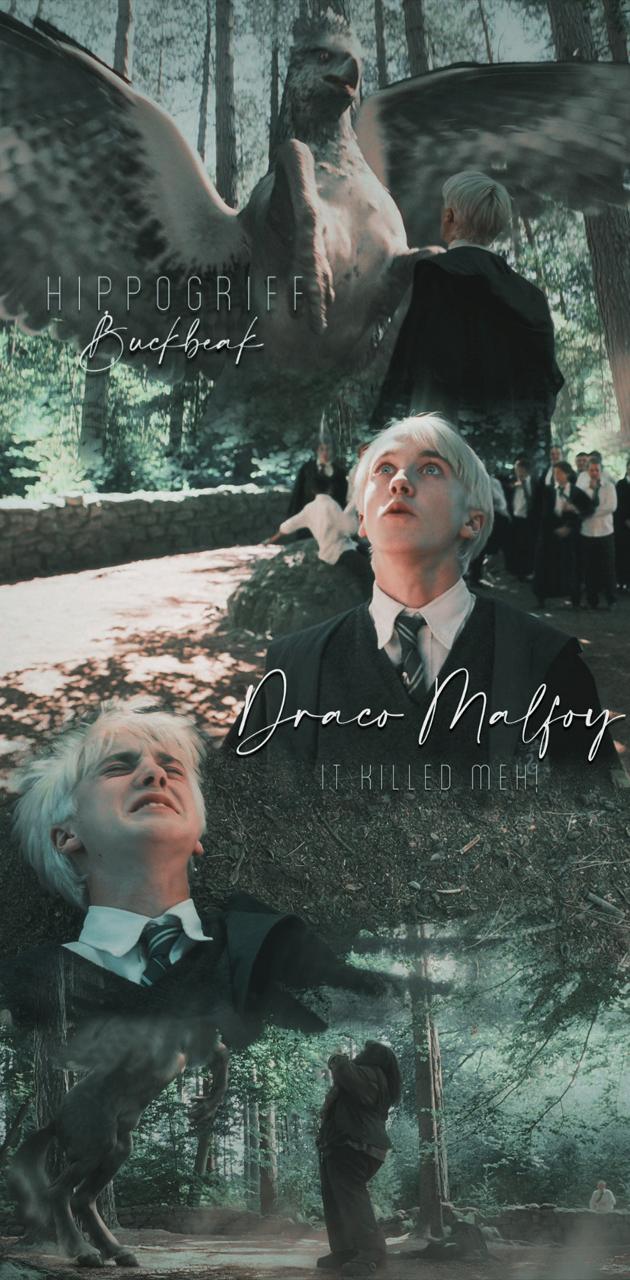 Draco Malfoy wallpaper