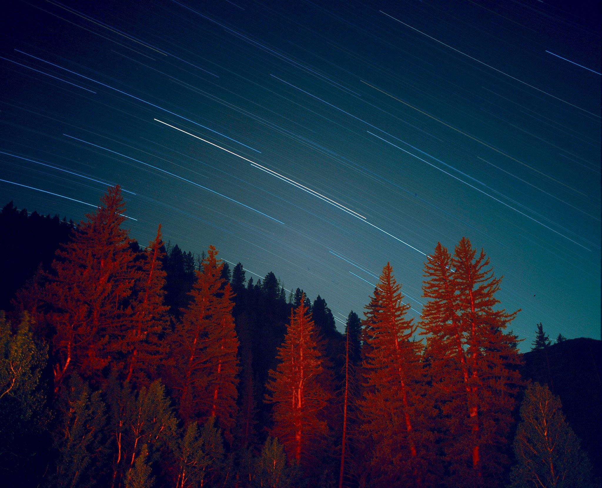 2048x1661 cool background, long exposure, sky, star background, galaxy wallpaper, red, PNG image, cool wallpaper, wood, track, blue, space background, light, forest, star, galaxy background, shooting star, tree, wallpaper, night