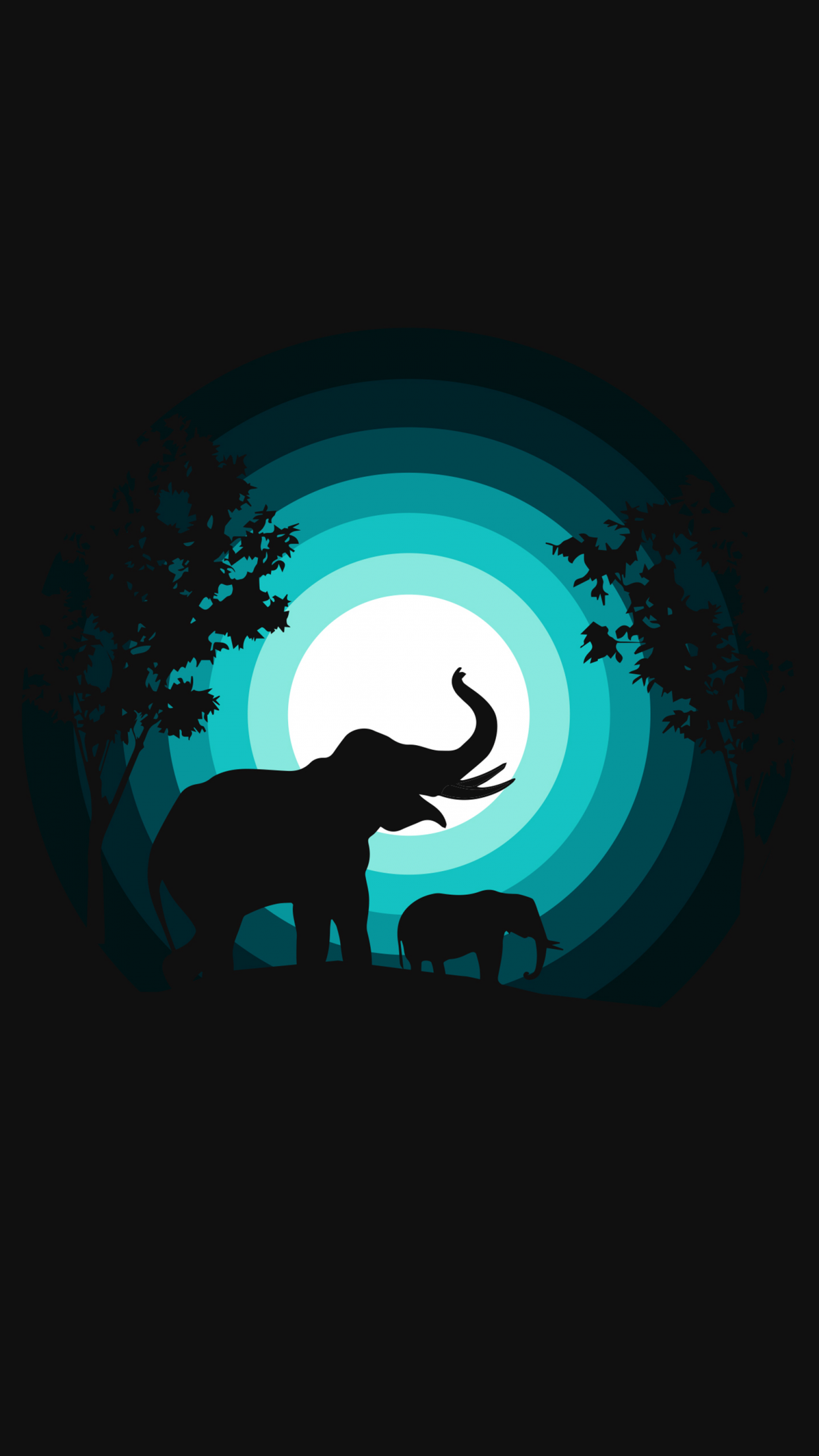 Elephant Wallpaper 4K, Cub, Silhouette, Night, Black Dark