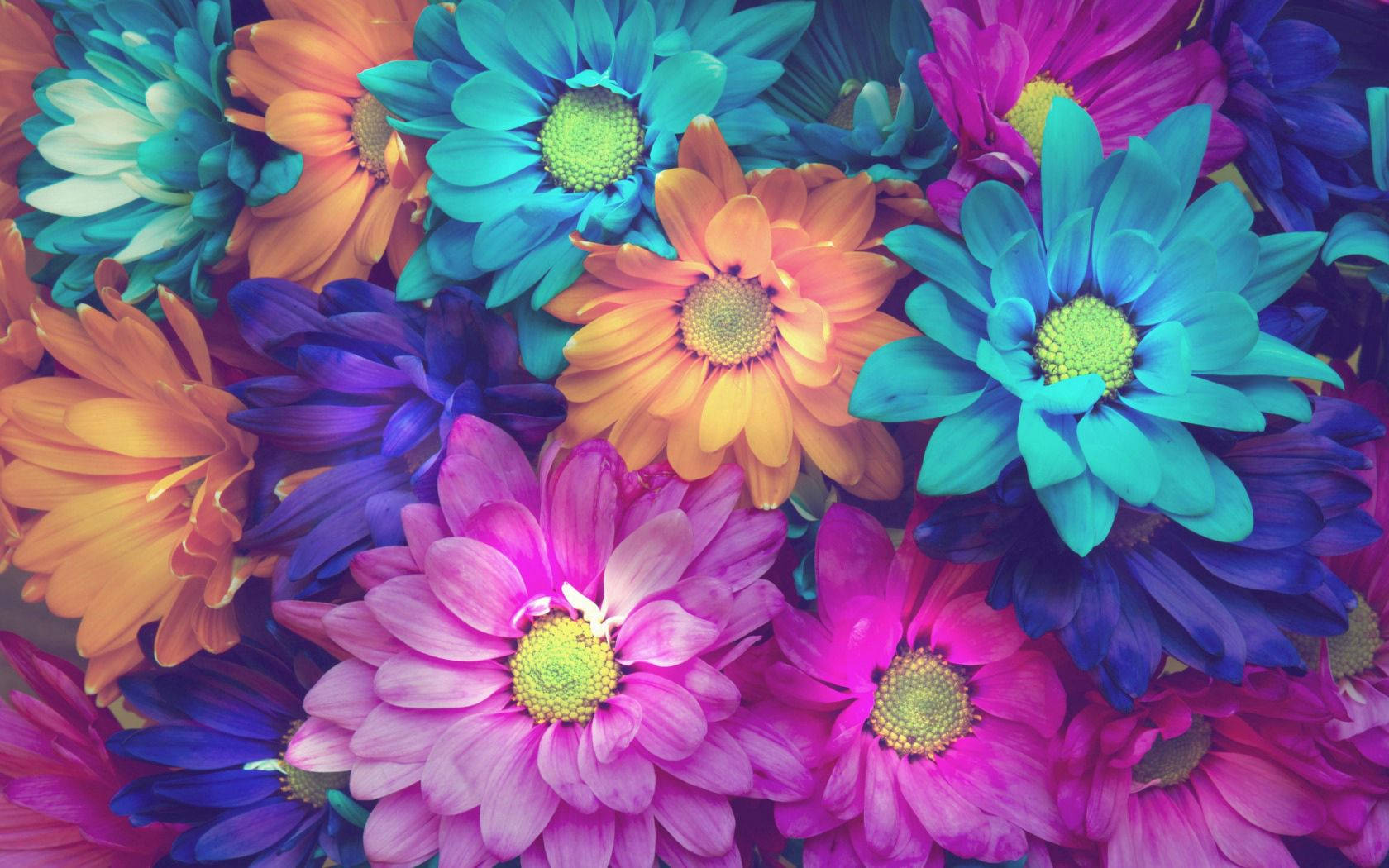 Free Flower Background Photo, Flower Background for FREE