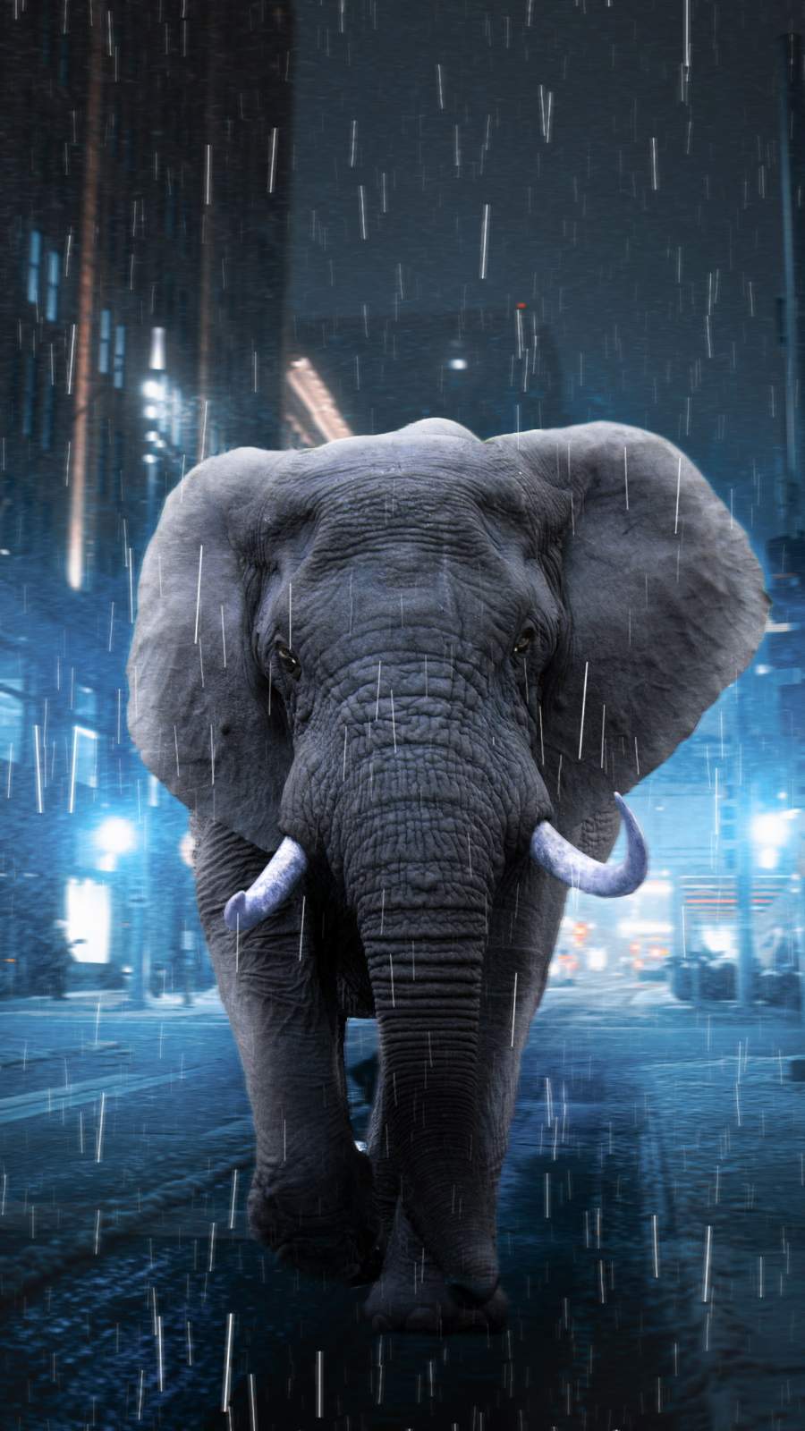 Elephant iPhone Wallpapers - Wallpaper Cave