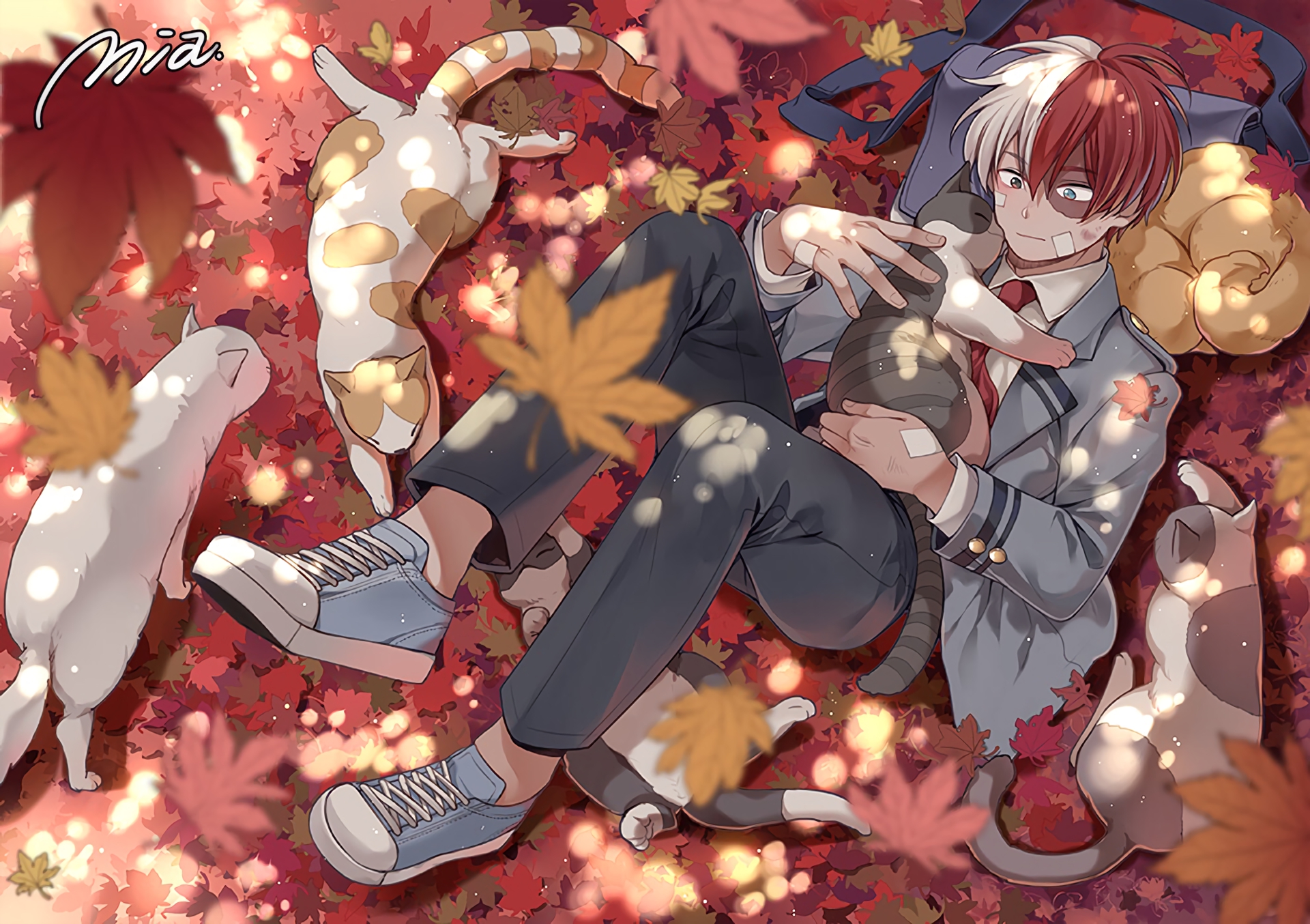 Shoto Todoroki HD Wallpaper and Background