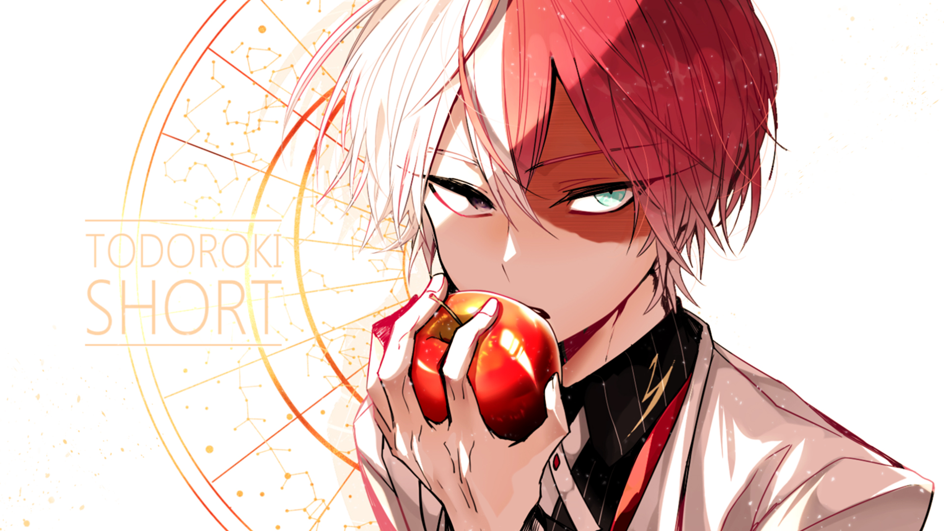1920x1080 Shoto Todoroki Gallery HD Wallpaper