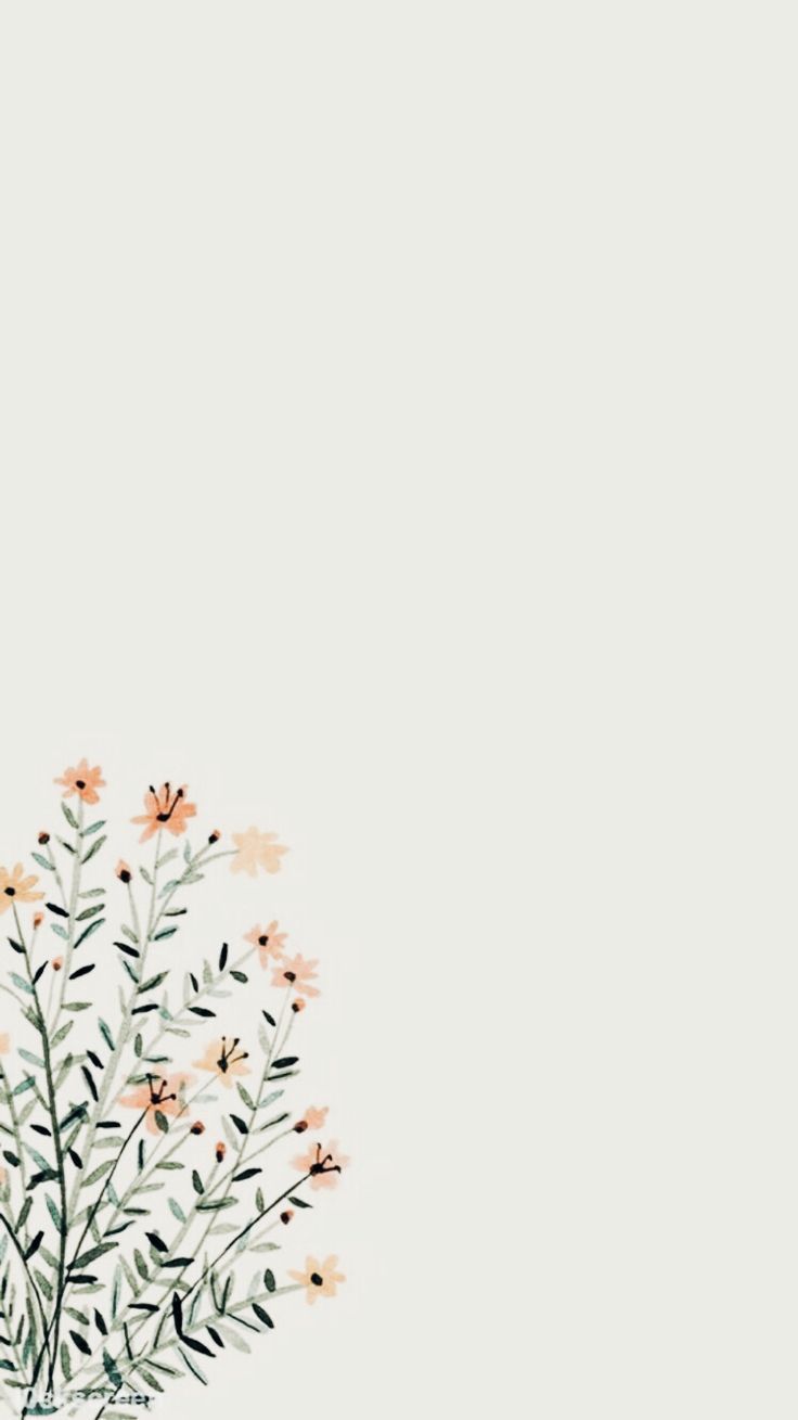 Aesthetic Flowers Simple Wallpaper