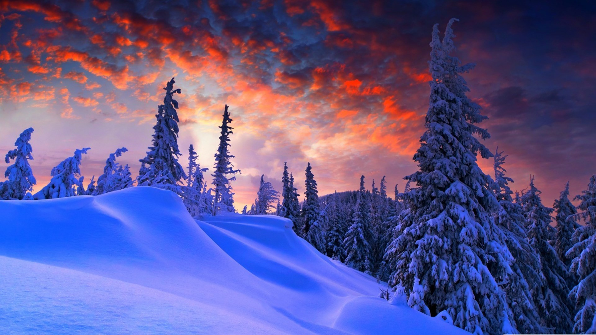 Winter Beauty Wallpaper and Background 4K, HD, Dual Screen