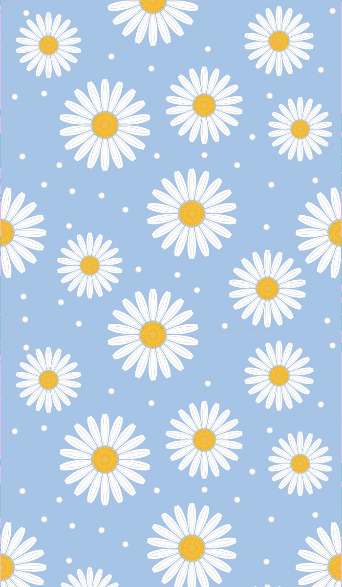 Seamless pattern chamomile. Spring wallpaper, Daisy wallpaper, Simple iphone wallpaper