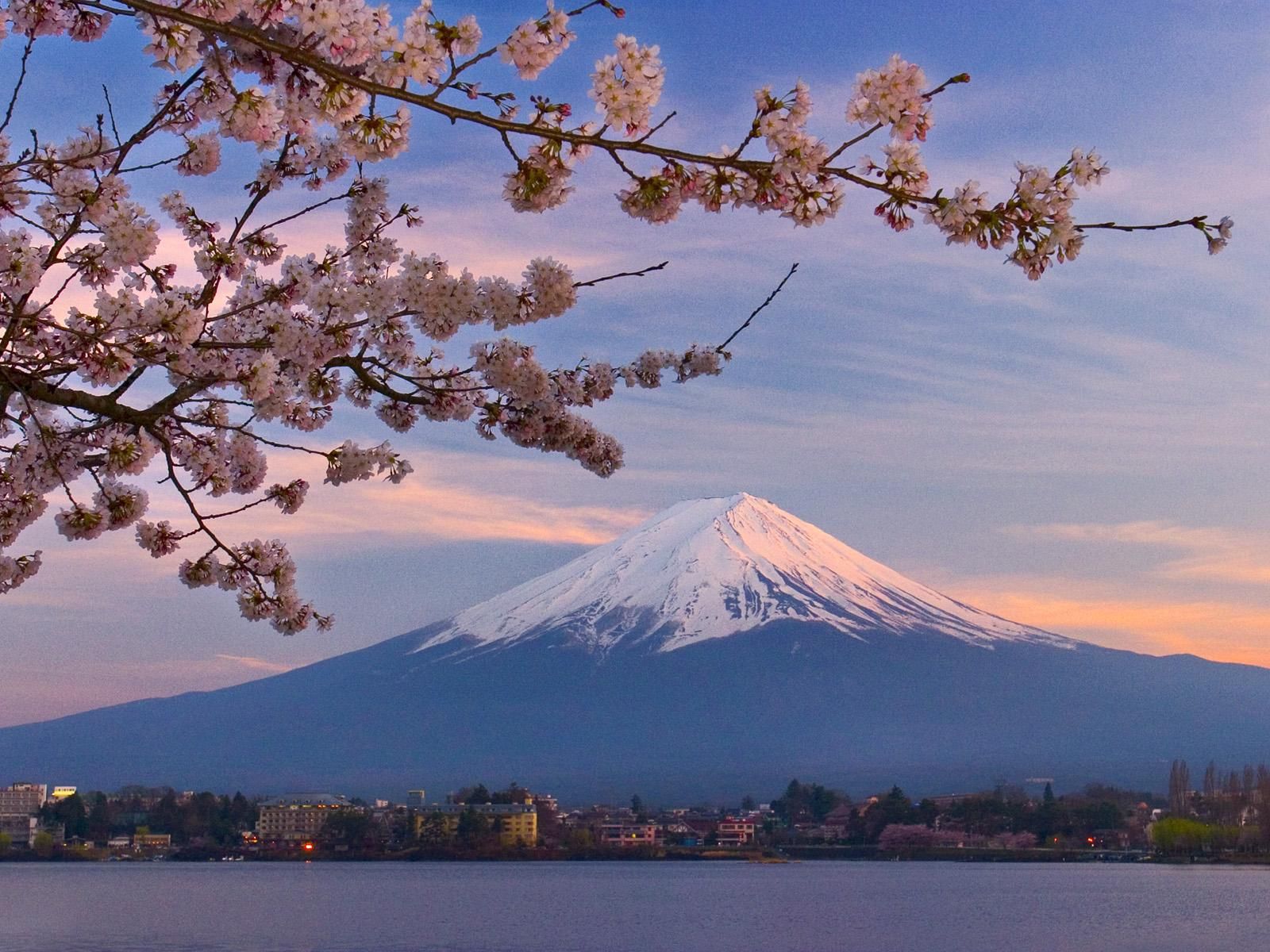 Cherry Blossoms Mount Fuji and Kawaguchi Lake [1600 x 1200]. ภูเขาฟูจิ, ทิวทัศน์, ธรรมชาติ