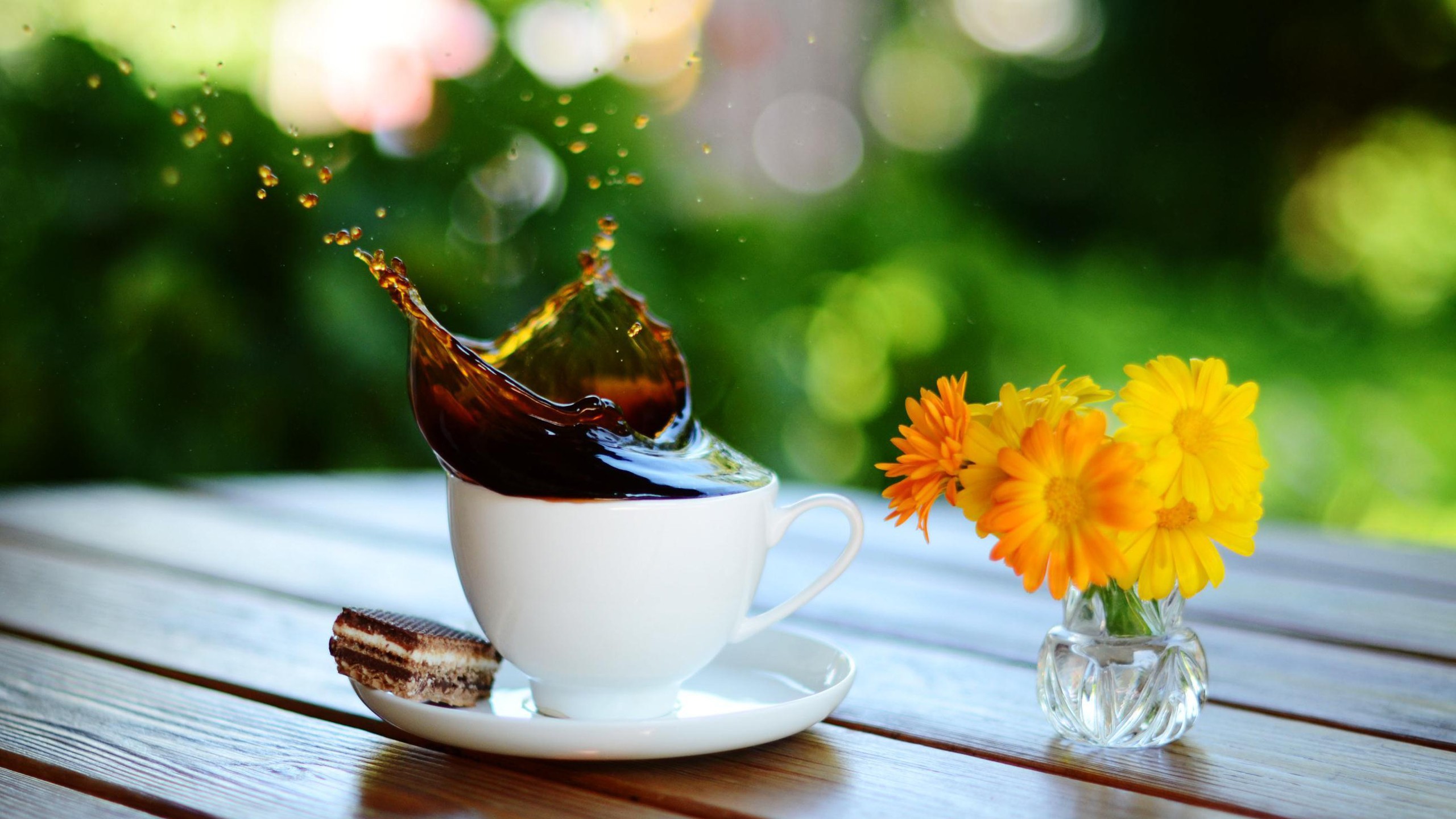 Wallpaper, 2560x1440 px, bokeh, brownies, coffee, cookies, cups, flowers, good, high, morning, speed, splashes, stain, time 2560x1440