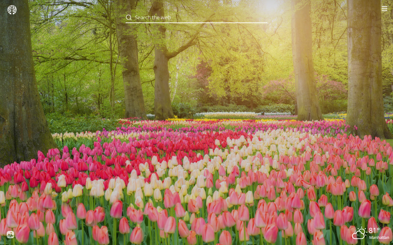 Spring Flowers HD Wallpaper New Tab
