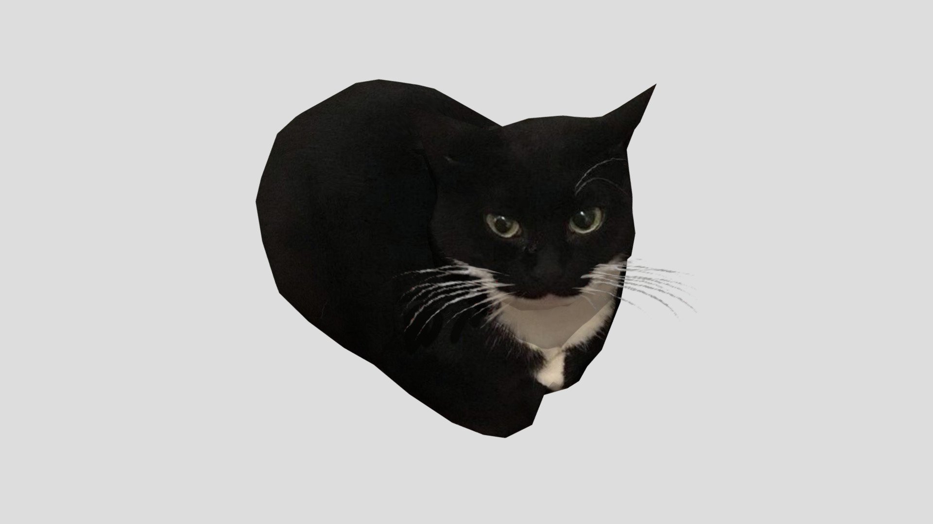 dingus the cat Free 3D model by bean(alwayshasbean) [2ca7f3c]