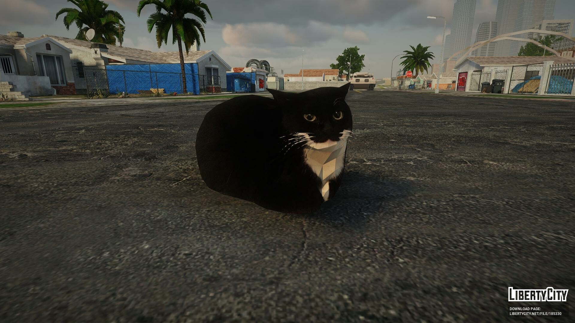 Download Cat Dingus for GTA San Andreas