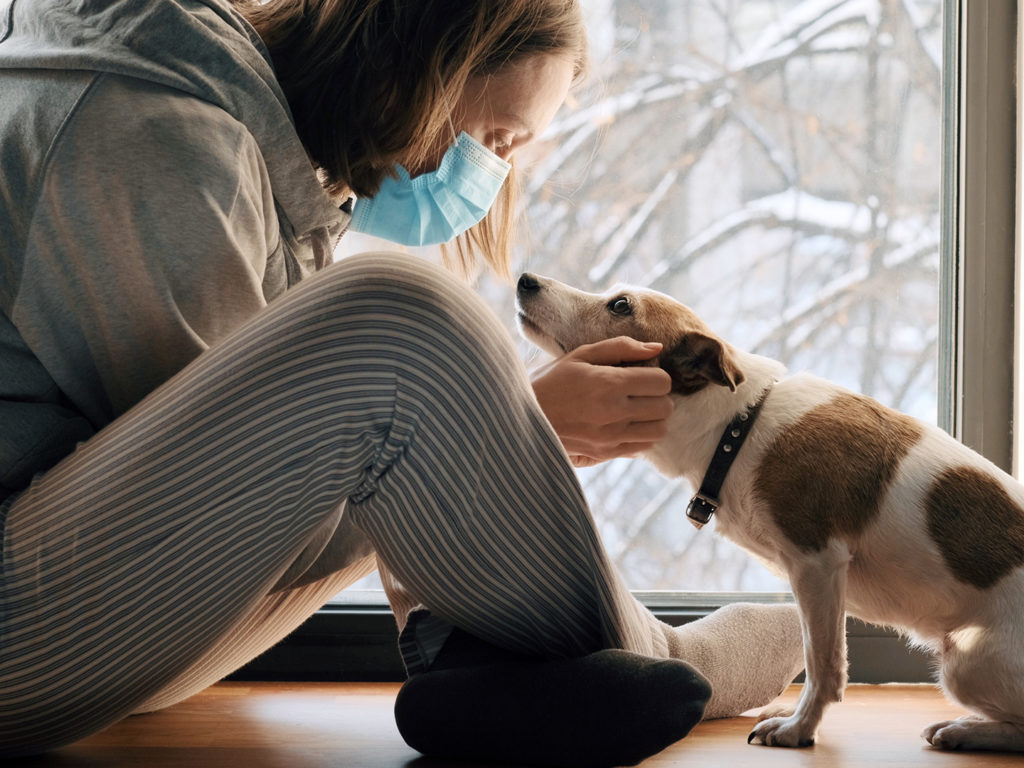 Does The COVID 19 Omicron Variant Spread Affect Pets?