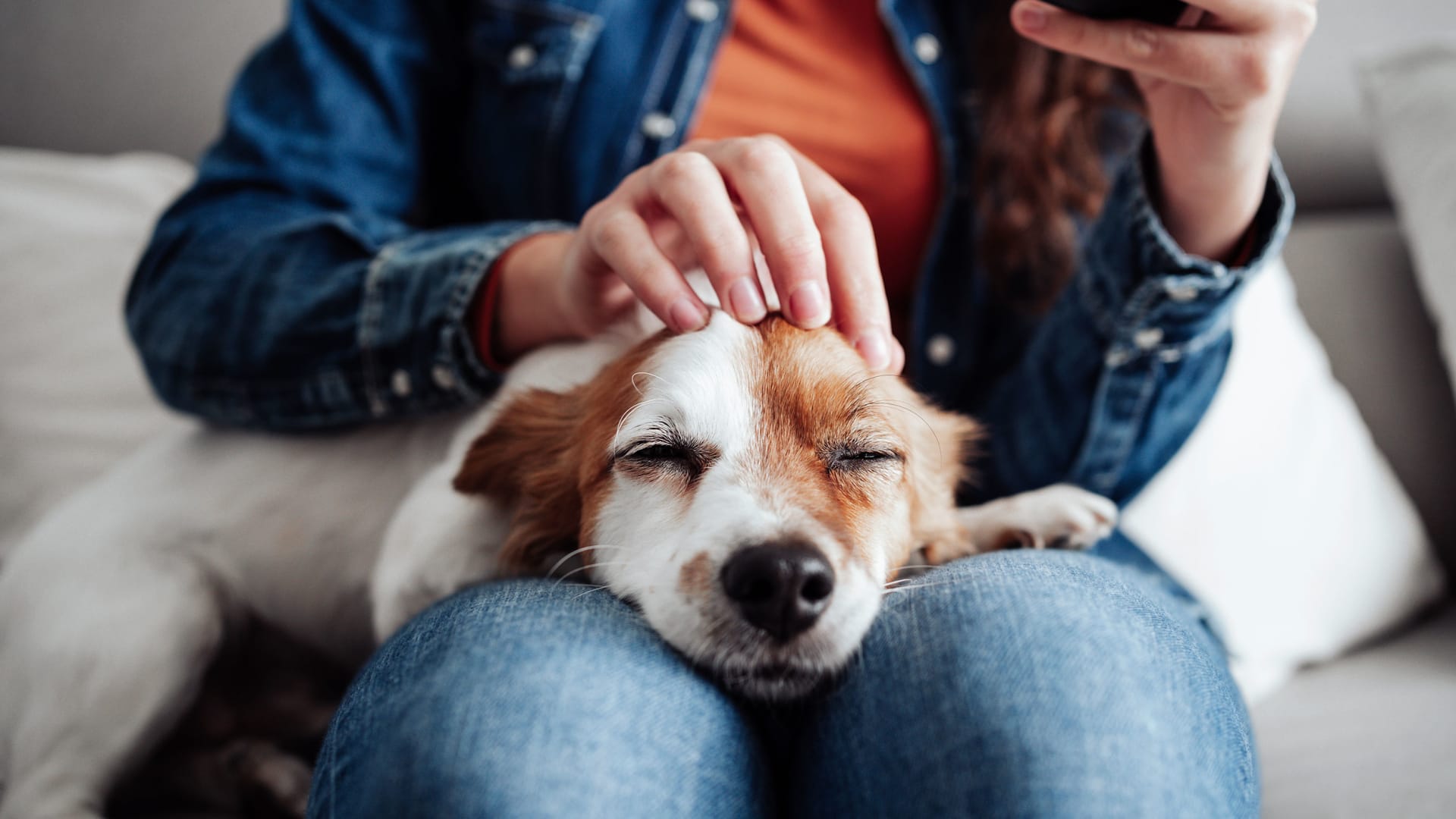 Neuroscience Says People With Dogs Get These 5 Big Brain Benefits