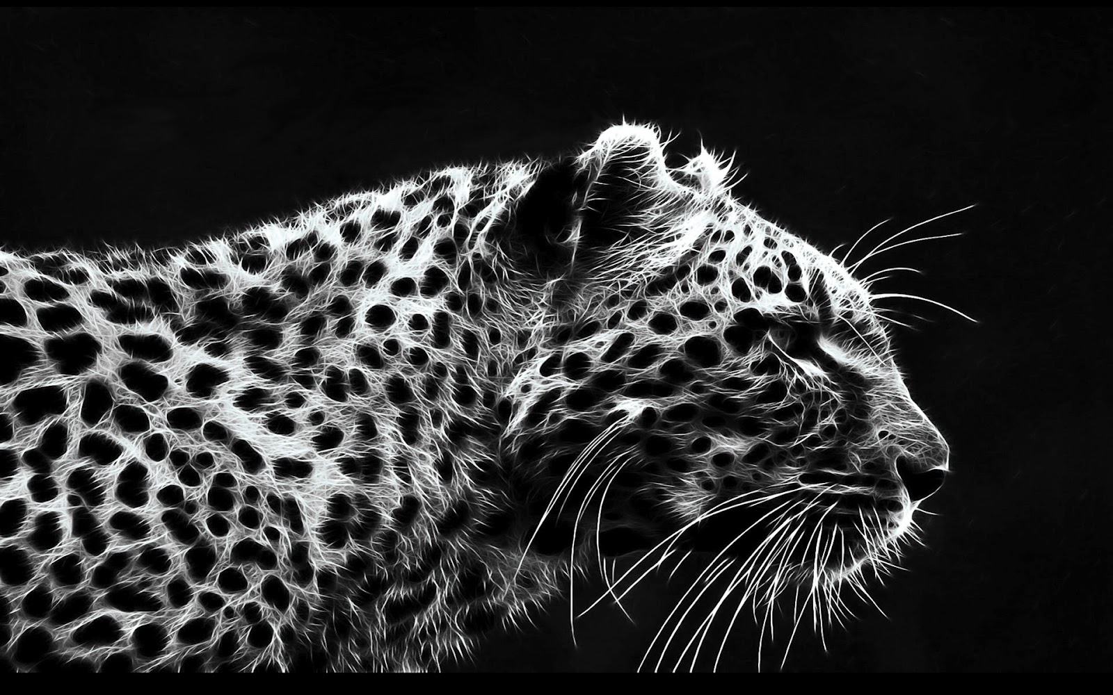 Free download Black BG HD Digital Dark Theme Wallpaper 1920x1080 for [1600x1000] for your Desktop, Mobile & Tablet. Explore Black Cheetah Background. Cheetah Wallpaper, Cheetah Background, Black Cheetah Wallpaper