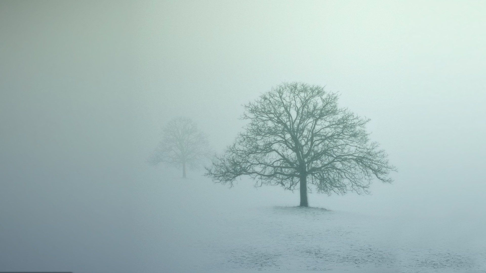 nature, trees, snow, photography, winter, abstract, landscape, mist Gallery HD Wallpaper