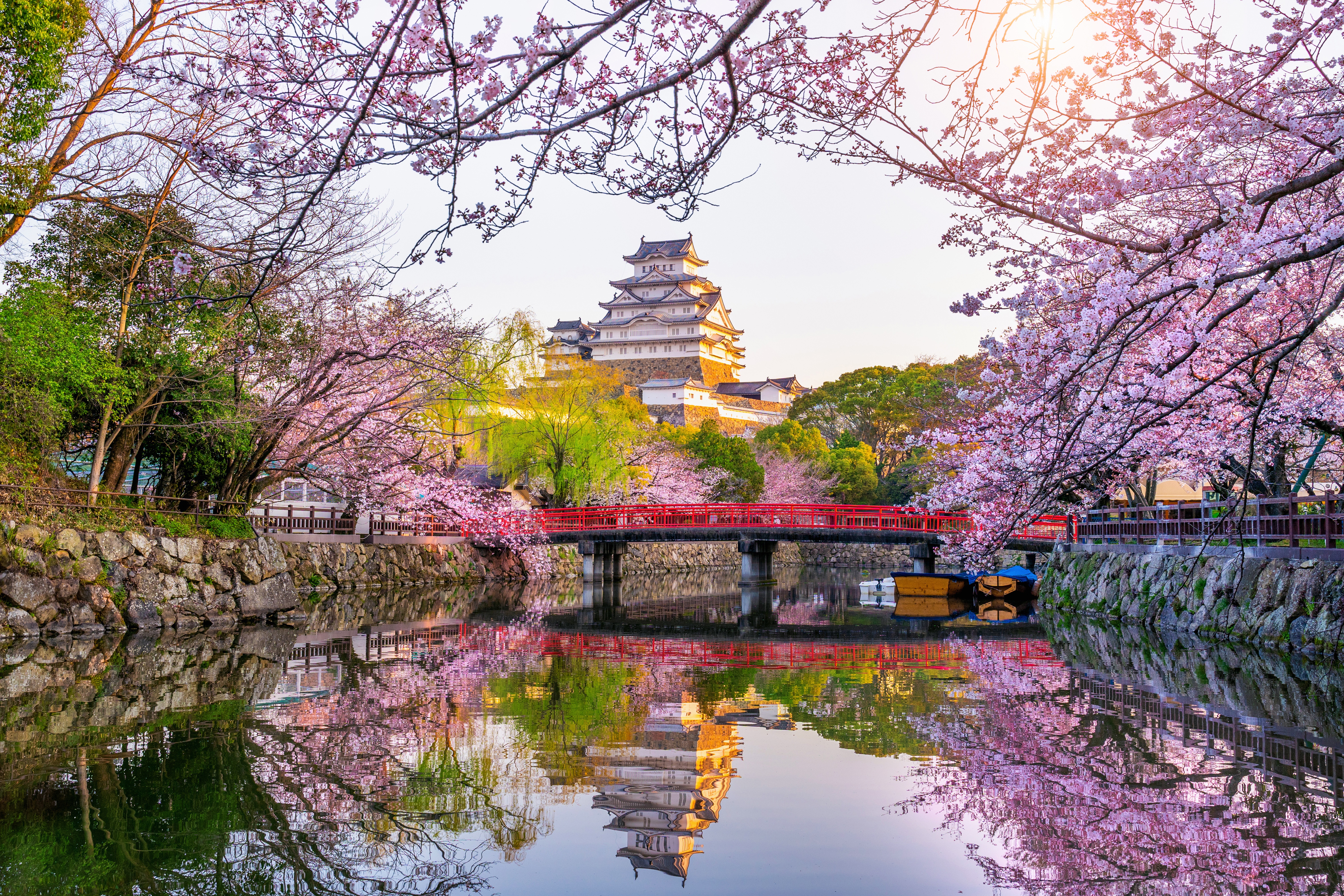 Japan Sakura 4K, Blossom, Reflection, Spring, Japan, Castle, Sakura Gallery HD Wallpaper
