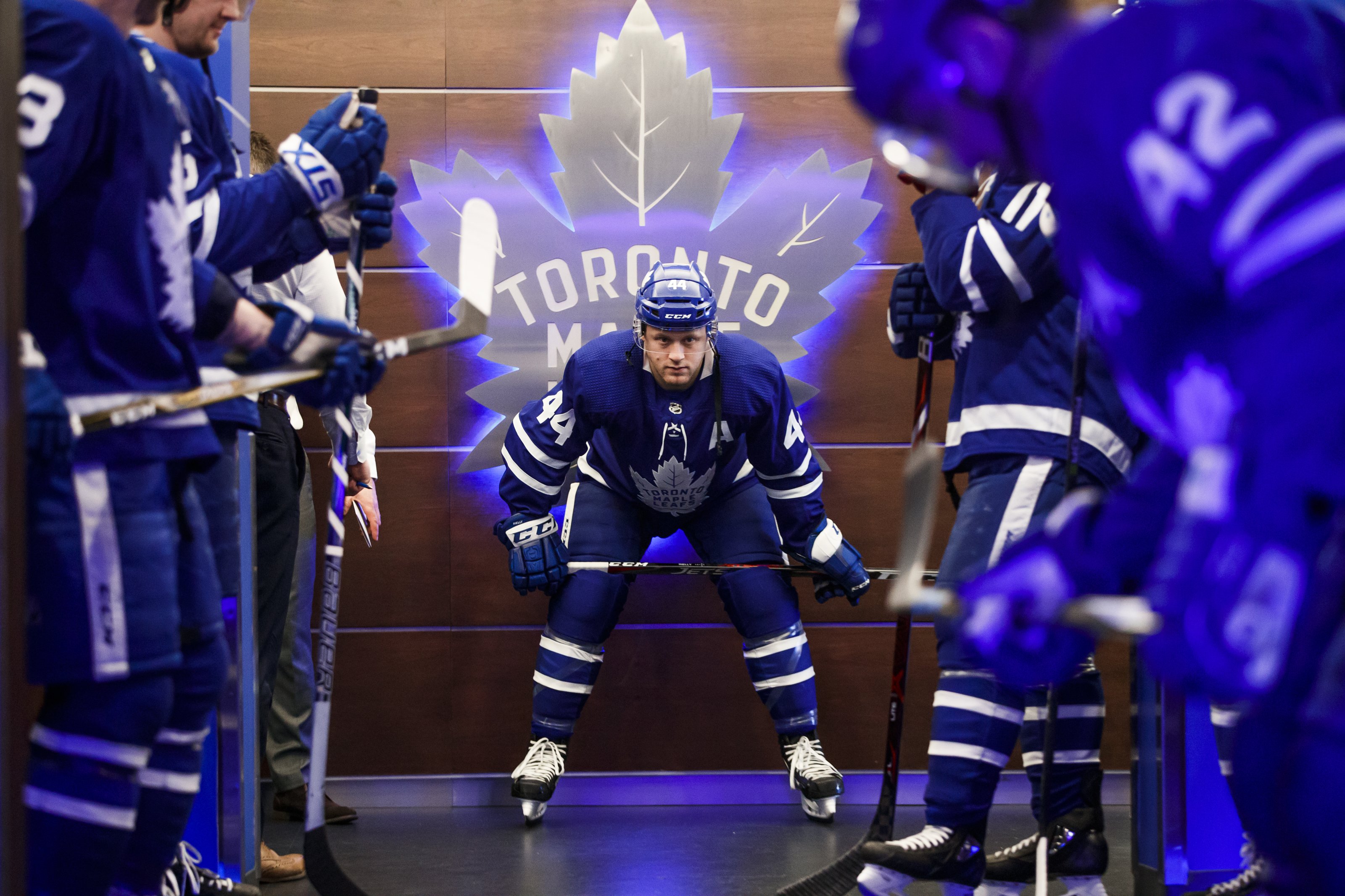 Toronto Maple Leafs Wallpaper and Background 4K, HD, Dual Screen