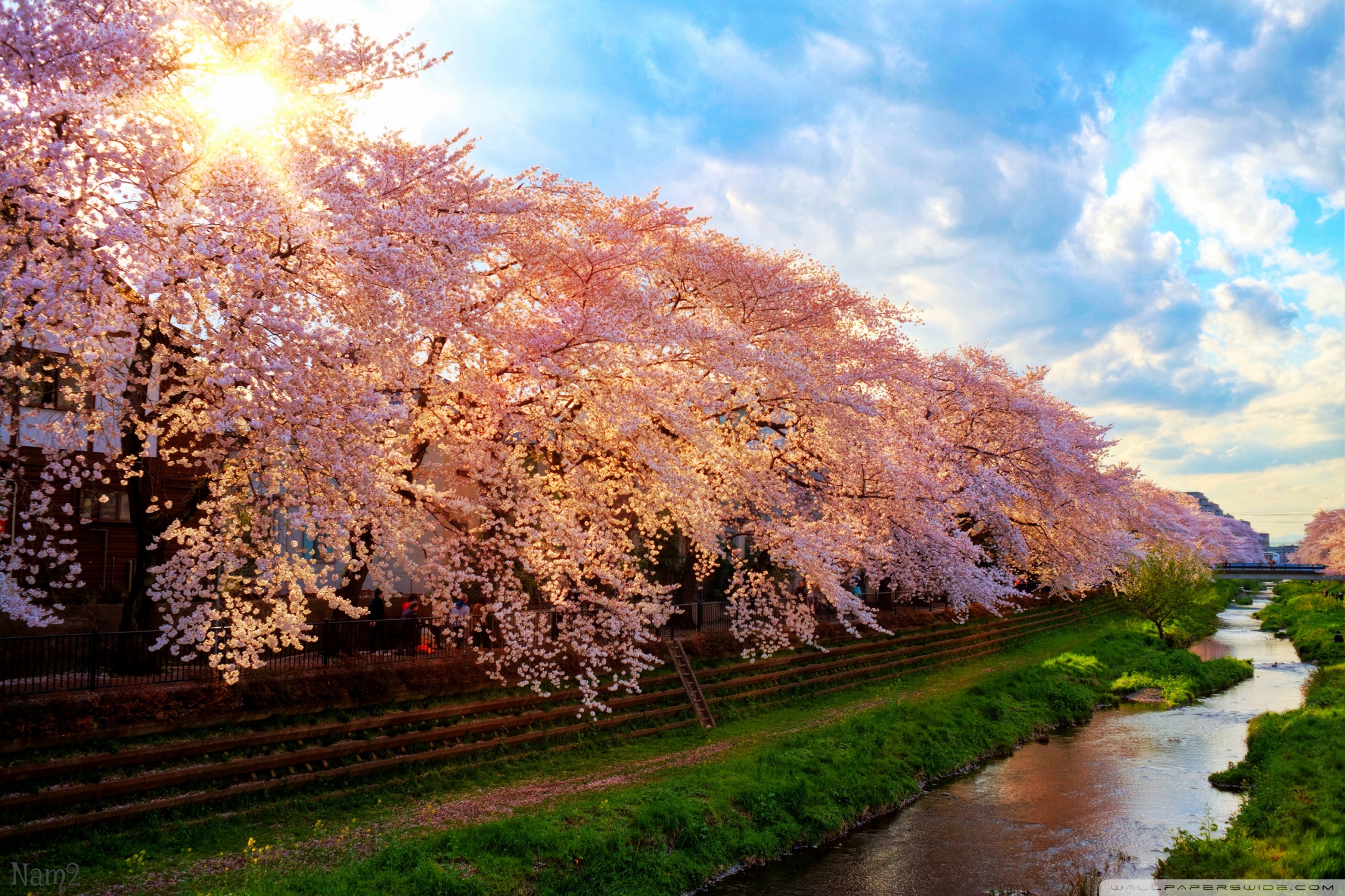 Spring In Japan Ultra HD Desktop Background Wallpaper for 4K UHD TV, Widescreen & UltraWide Desktop & Laptop, Tablet