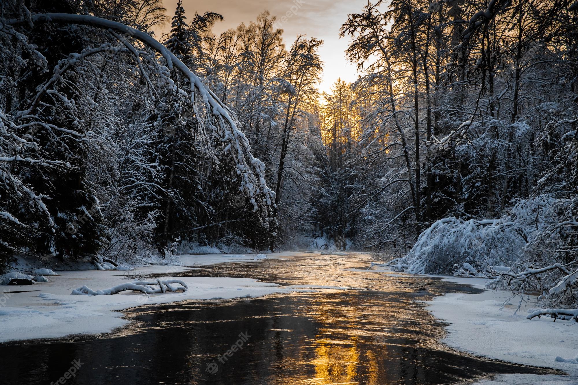 Premium Photo. The wild frozen small river in the winter wood the wild nature at sunset the river of red color ice