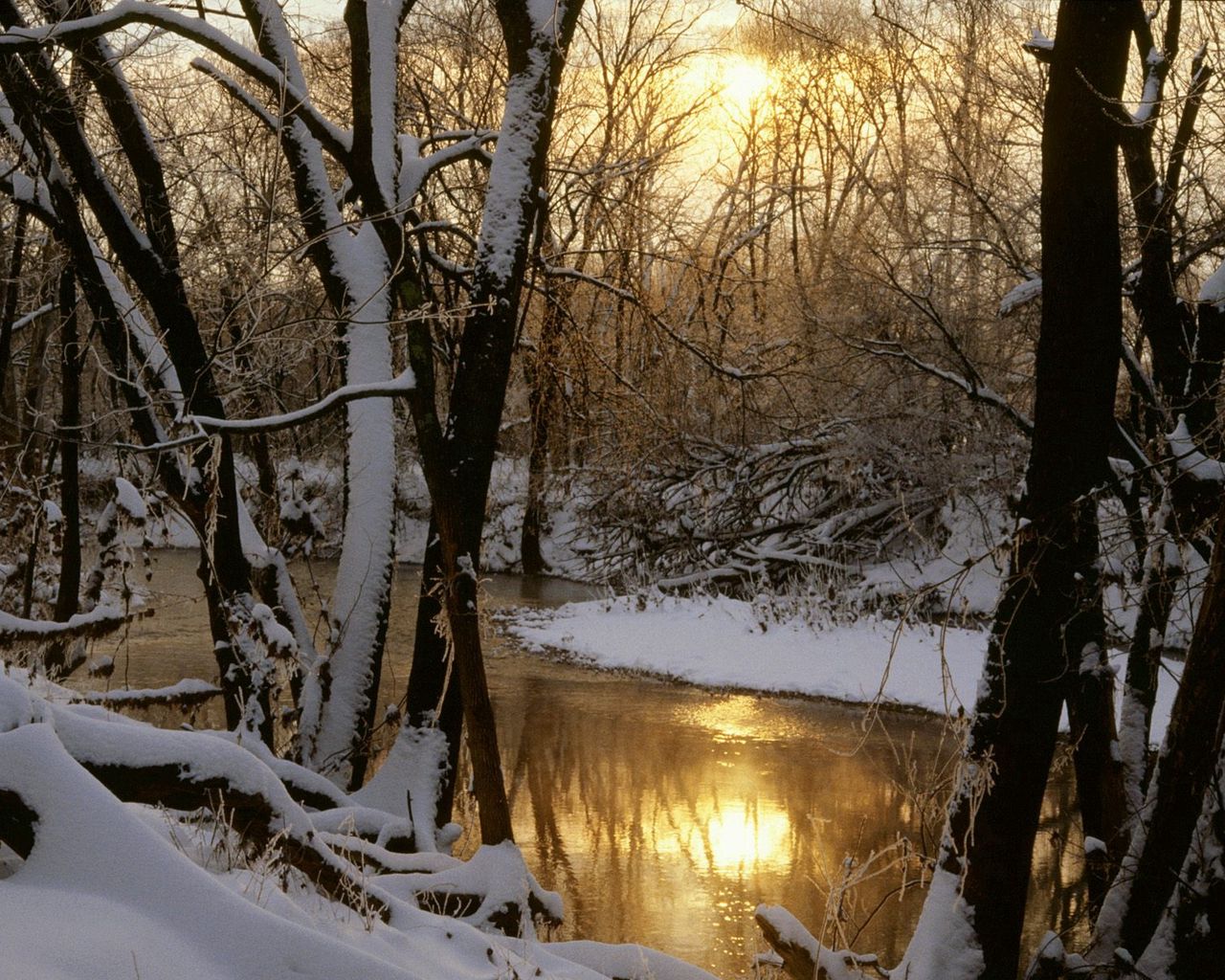 Download wallpaper 1280x1024 river, wood, winter, sun, reflection standard 5:4 HD background