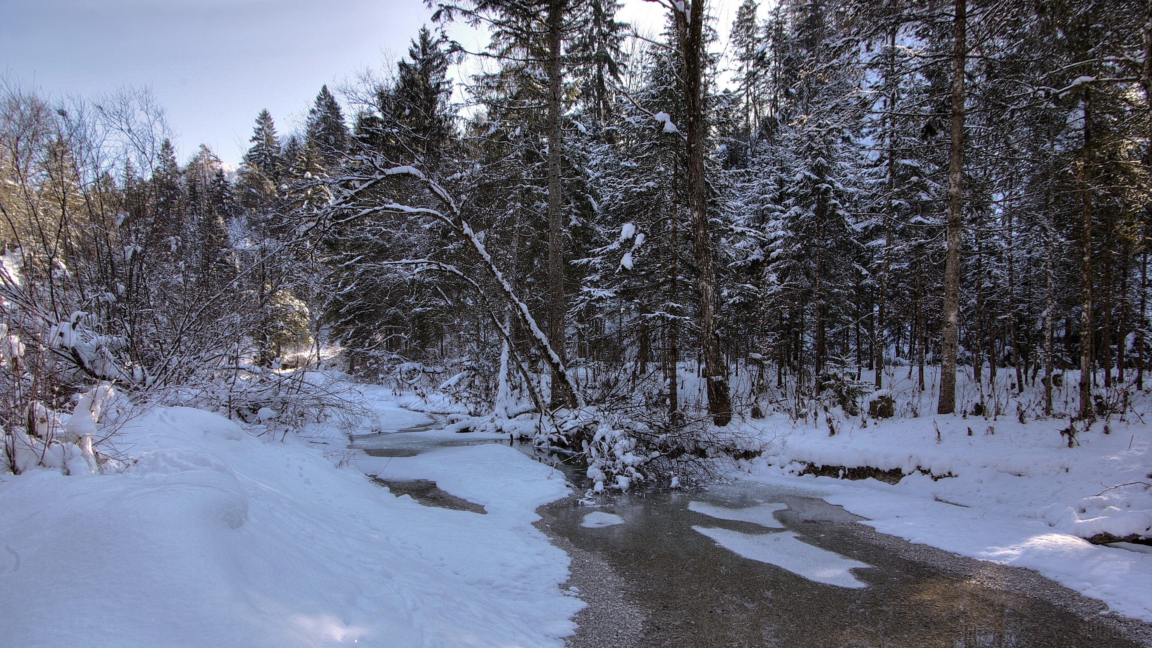 winter, snow, river, forest, landscape 4k Gallery HD Wallpaper