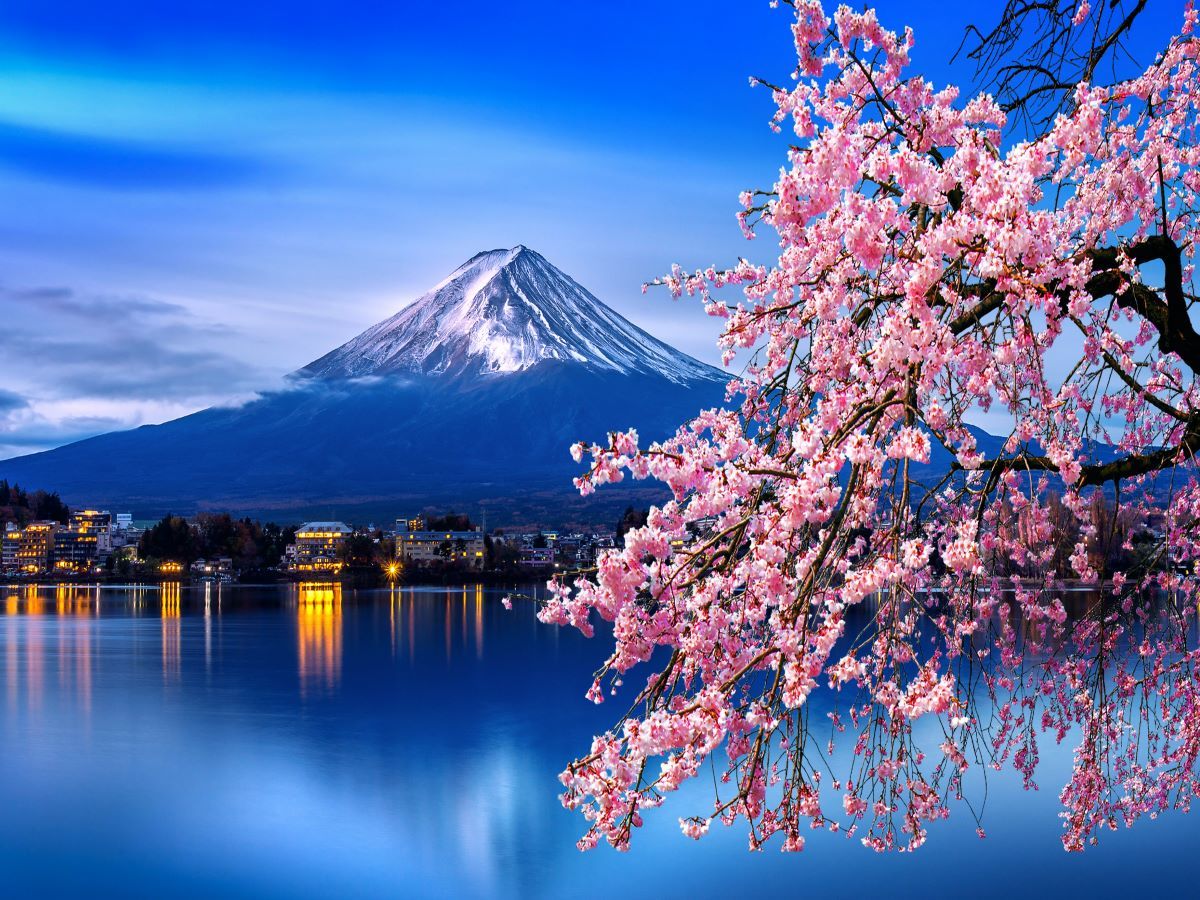 Japan Sakura Winter Wallpapers Wallpaper Cave