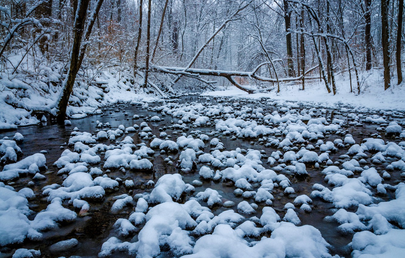 Wallpaper winter, forest, snow, trees, river, Ohio, Cincinnati, Ohio, Winton Woods image for desktop, section природа