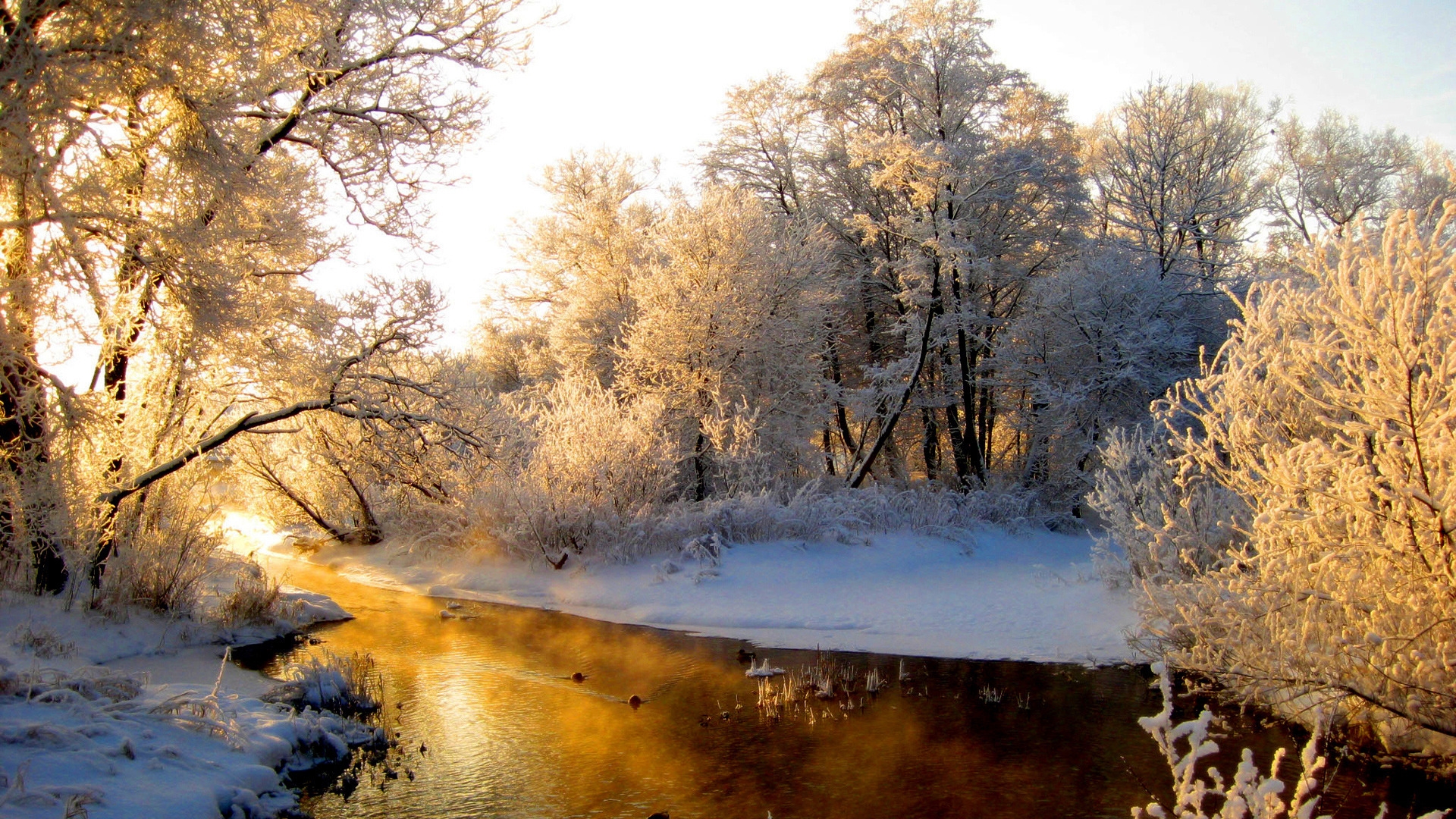 Download Wallpaper 1920x1080 river, wood, winter, hoarfrost, gray hair, light, reflection, orange Full HD 1080p HD Background